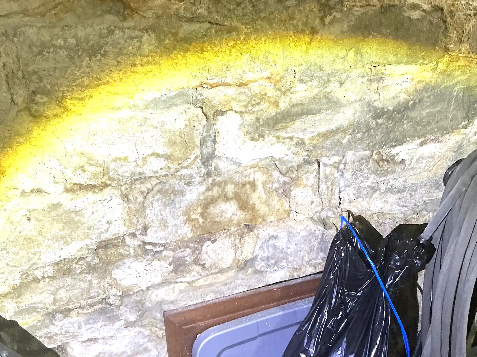 Mold inspection in South Euclid.