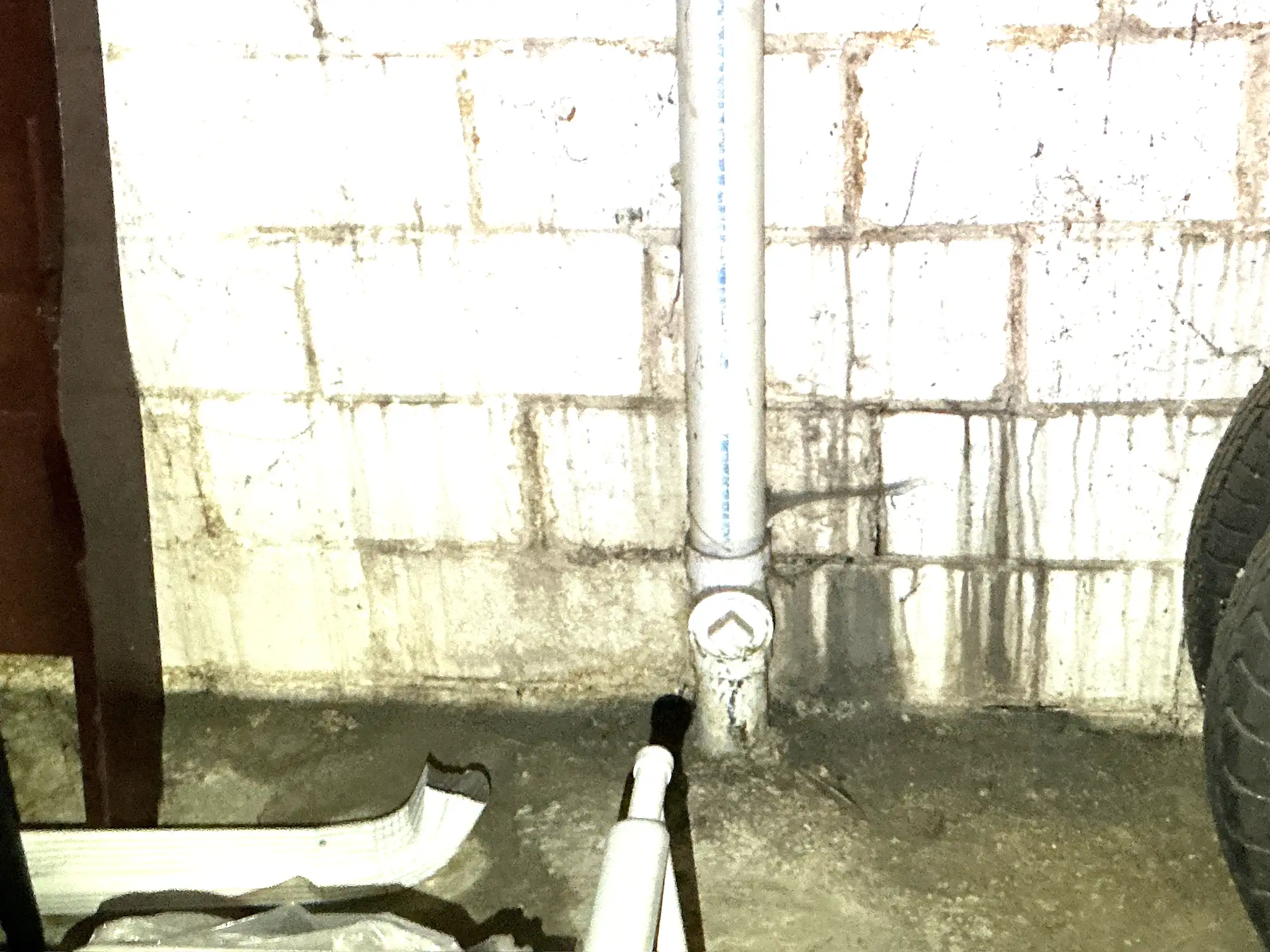 Our mold inspector found this surface mold in South Euclid.