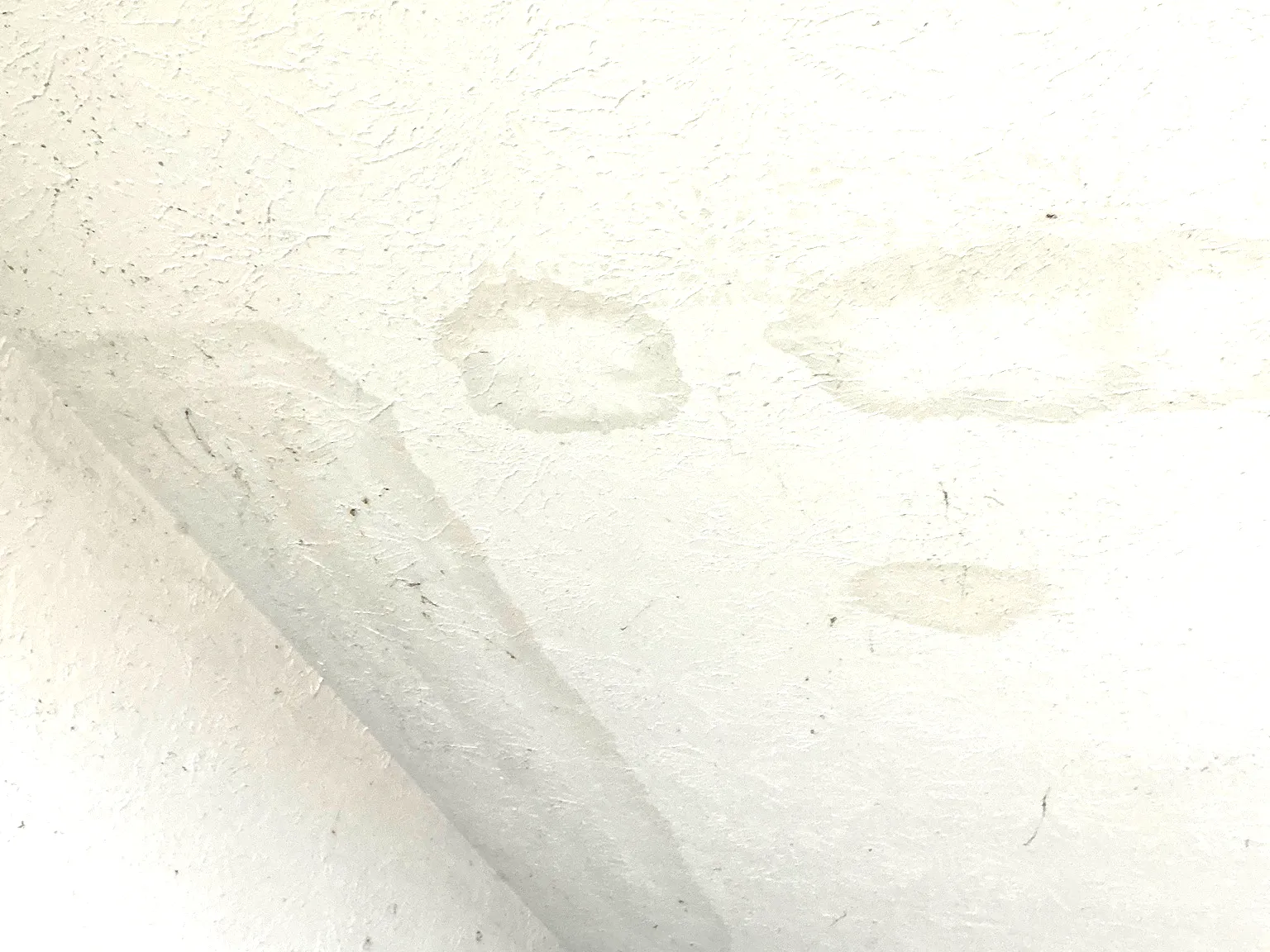 Mold found during a commercial mold inspection in South Euclid.