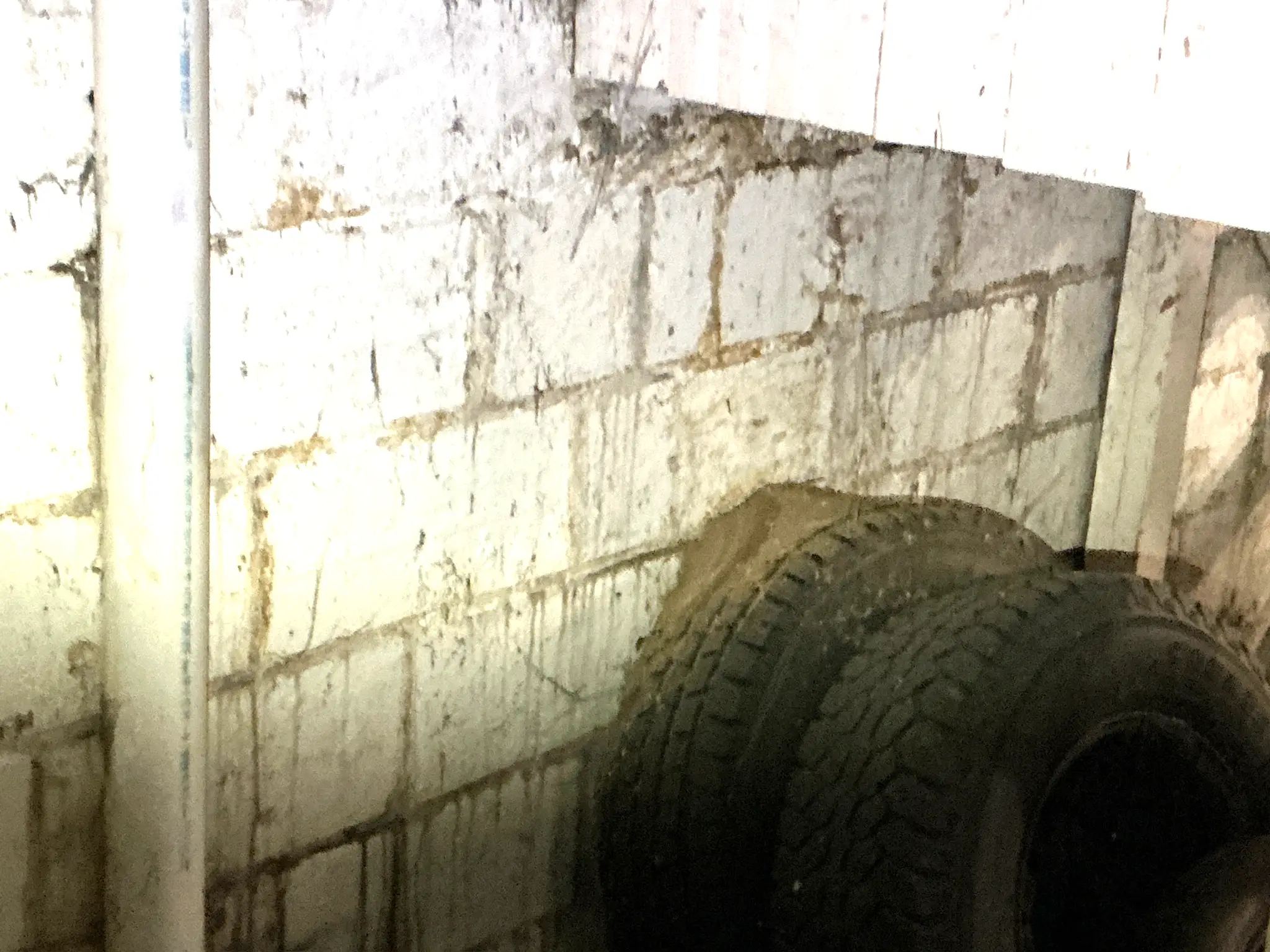 Mold found on a surface during an inspection in Stow.