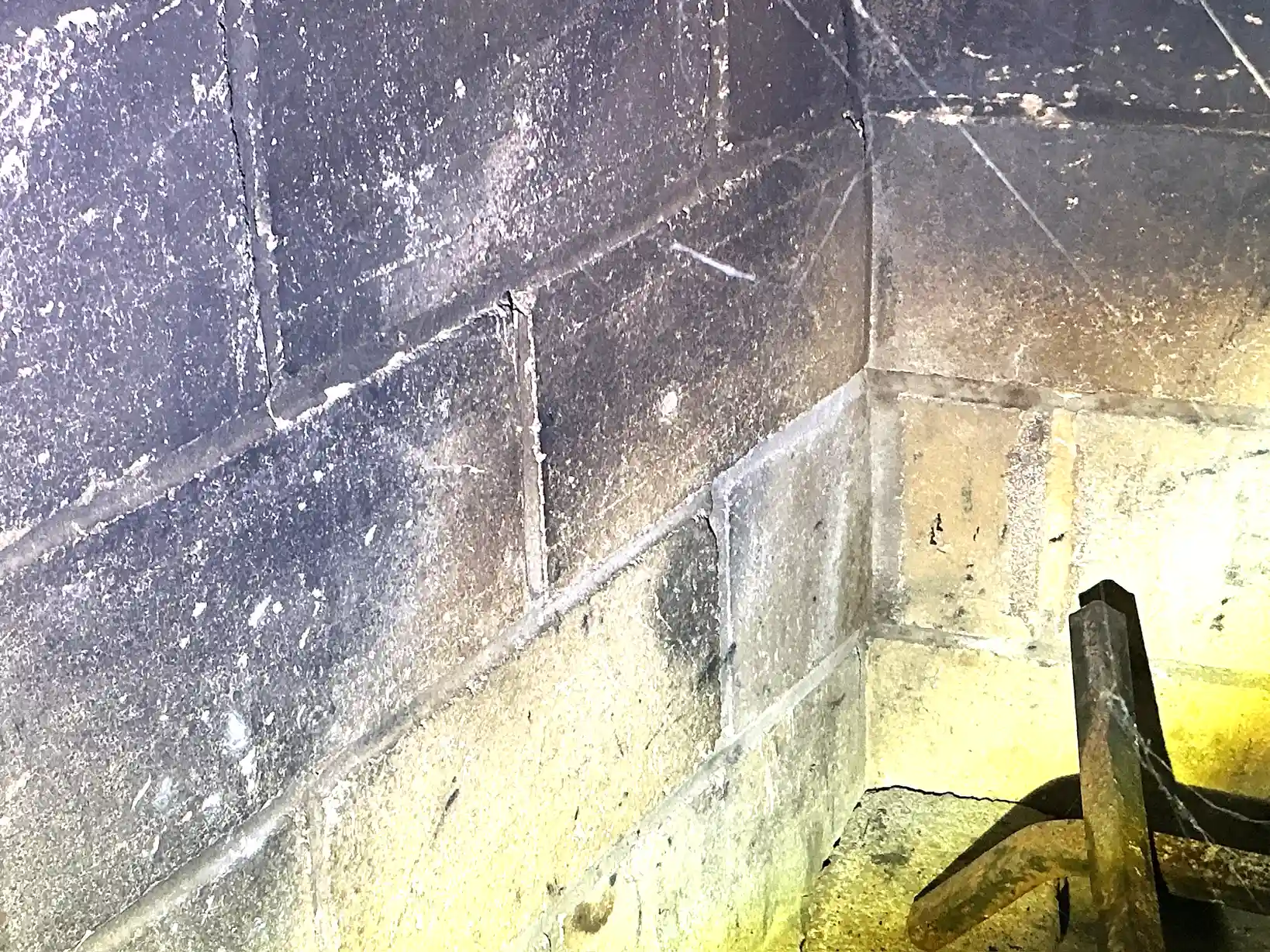 Our mold inspector found this surface mold in Stow.