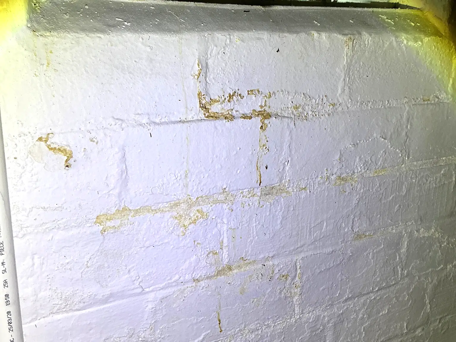 Mold found during a home inspection in Stow.