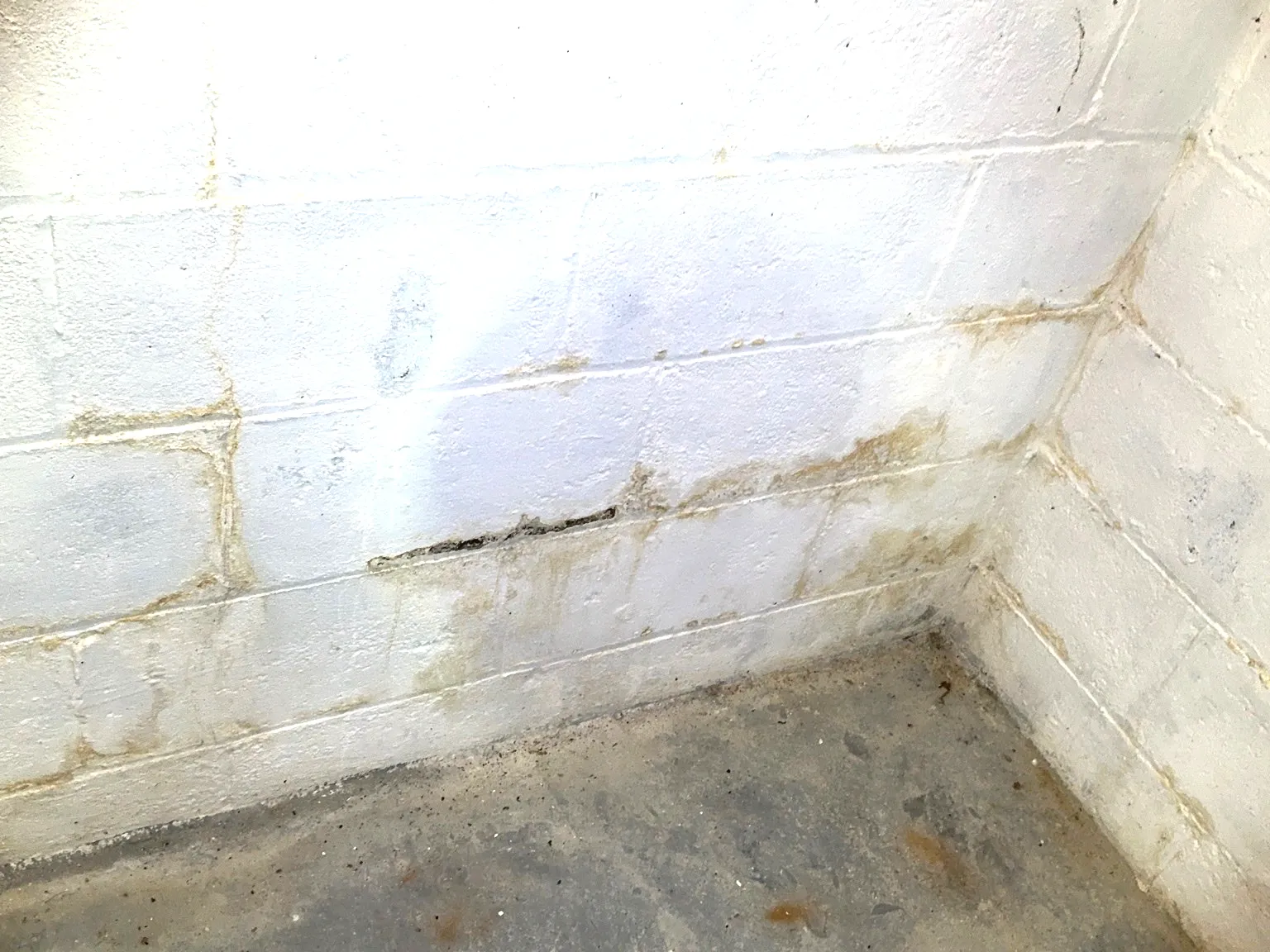 Mold found on a surface during an inspection in Streetsboro.