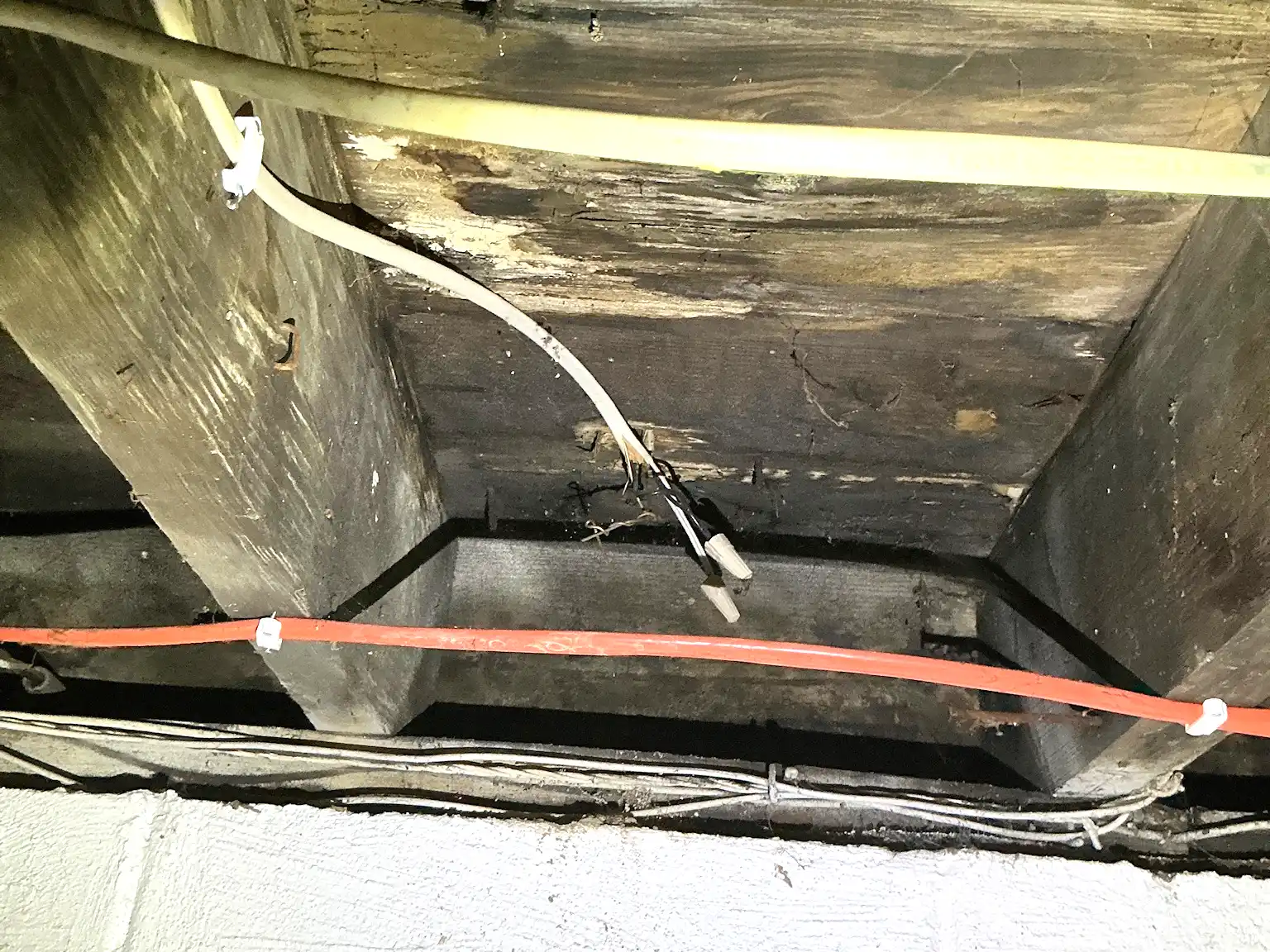 Mold found during a home inspection in Streetsboro.