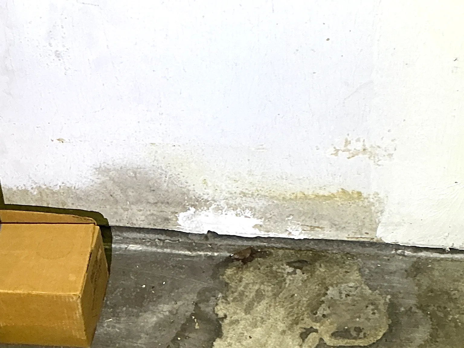 Mold found during a commercial mold inspection in Streetsboro.