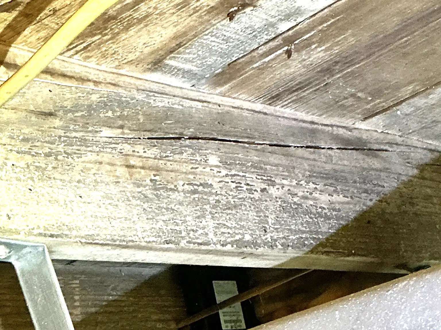 Look at what our mold inspector found in Strongsville..