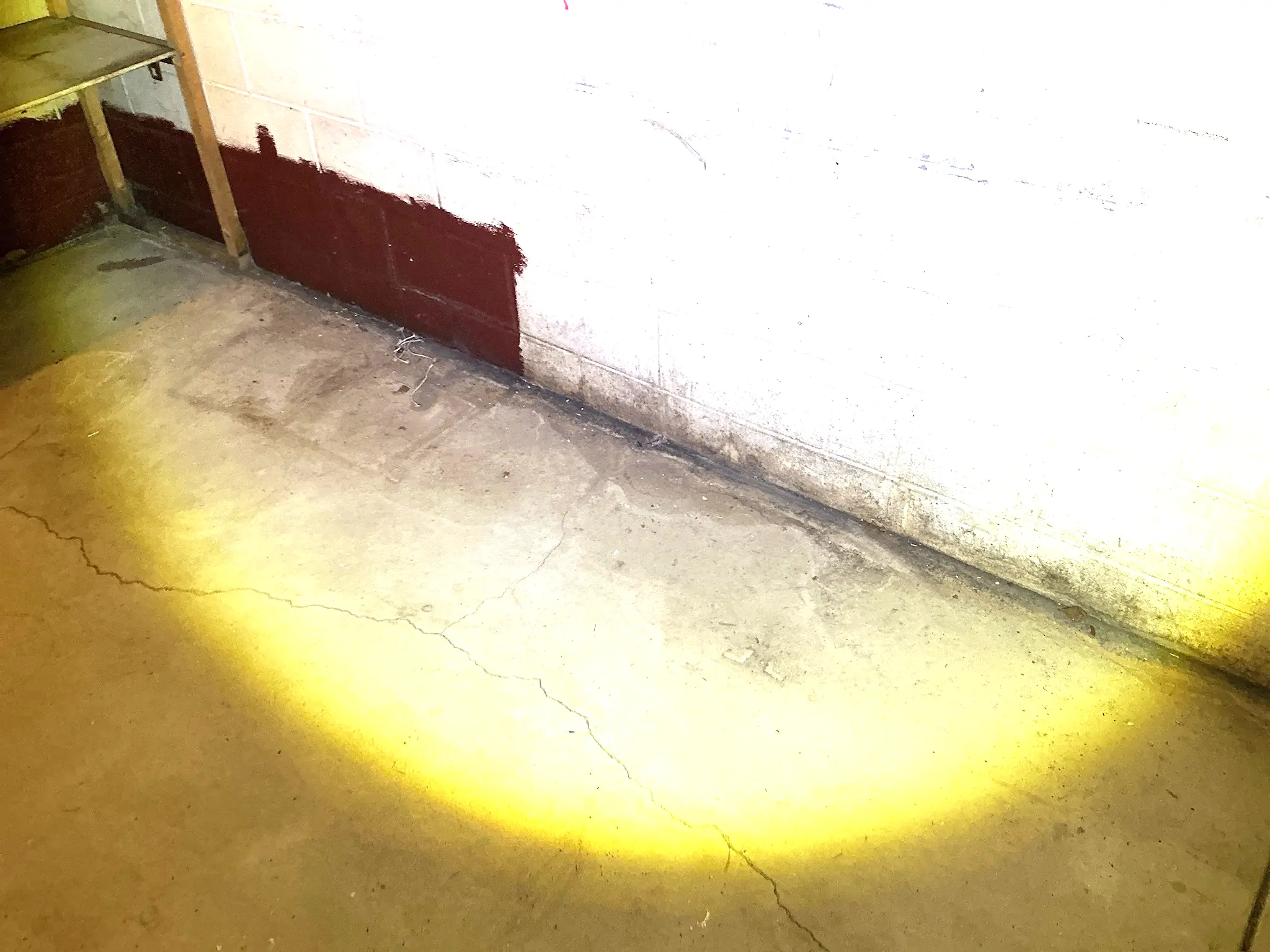Mold found on a surface during an inspection in Strongsville.