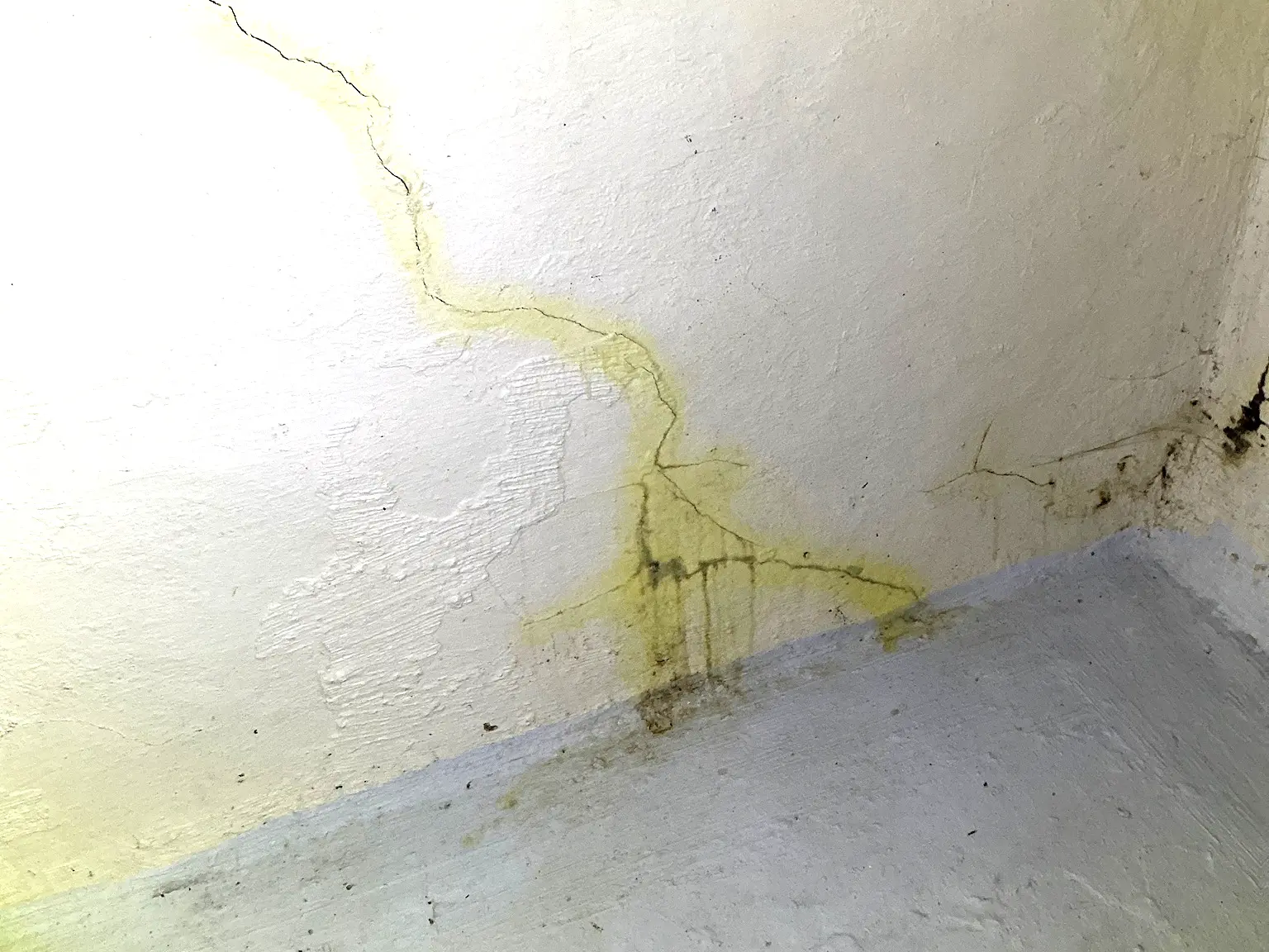 Our mold inspector found this surface mold in Strongsville.
