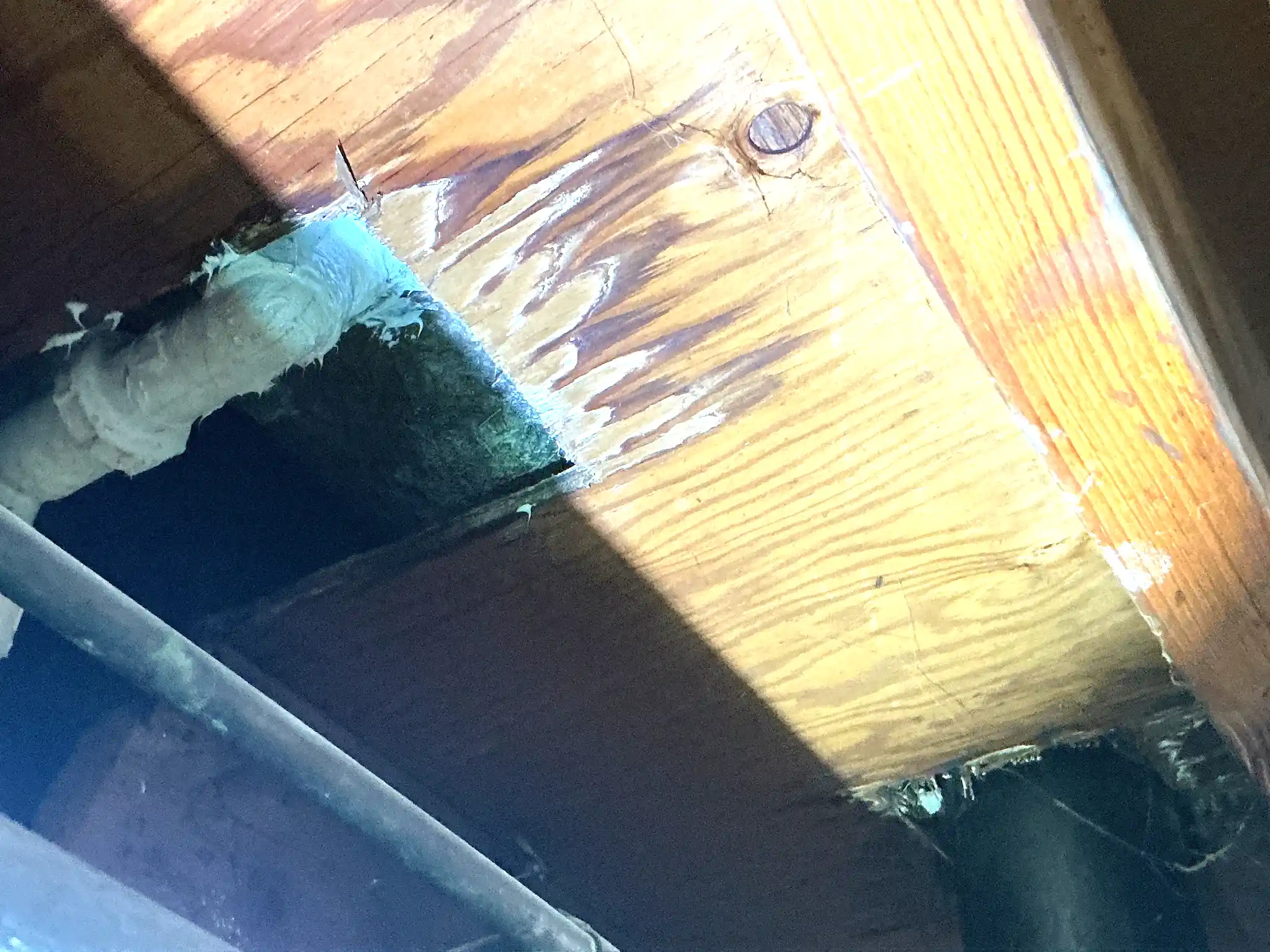 Mold found during a home inspection in Strongsville.