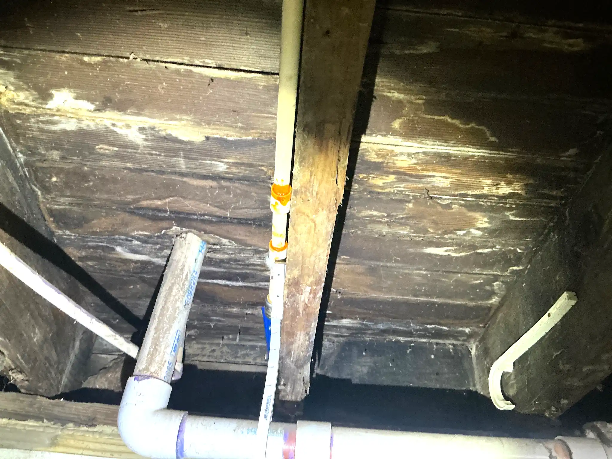 Mold found during a commercial mold inspection in Strongsville.