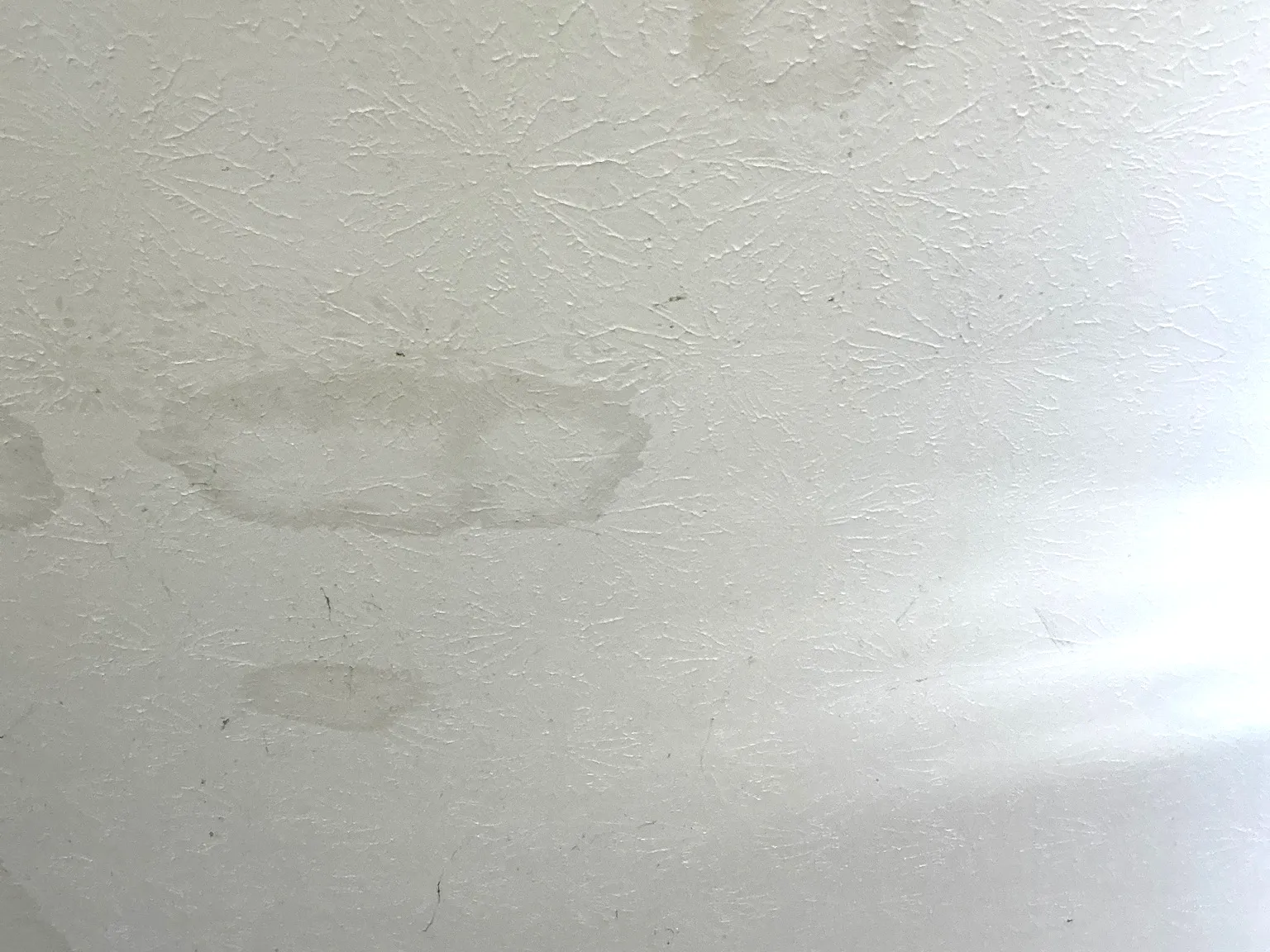 Mold inspection in Struthers.