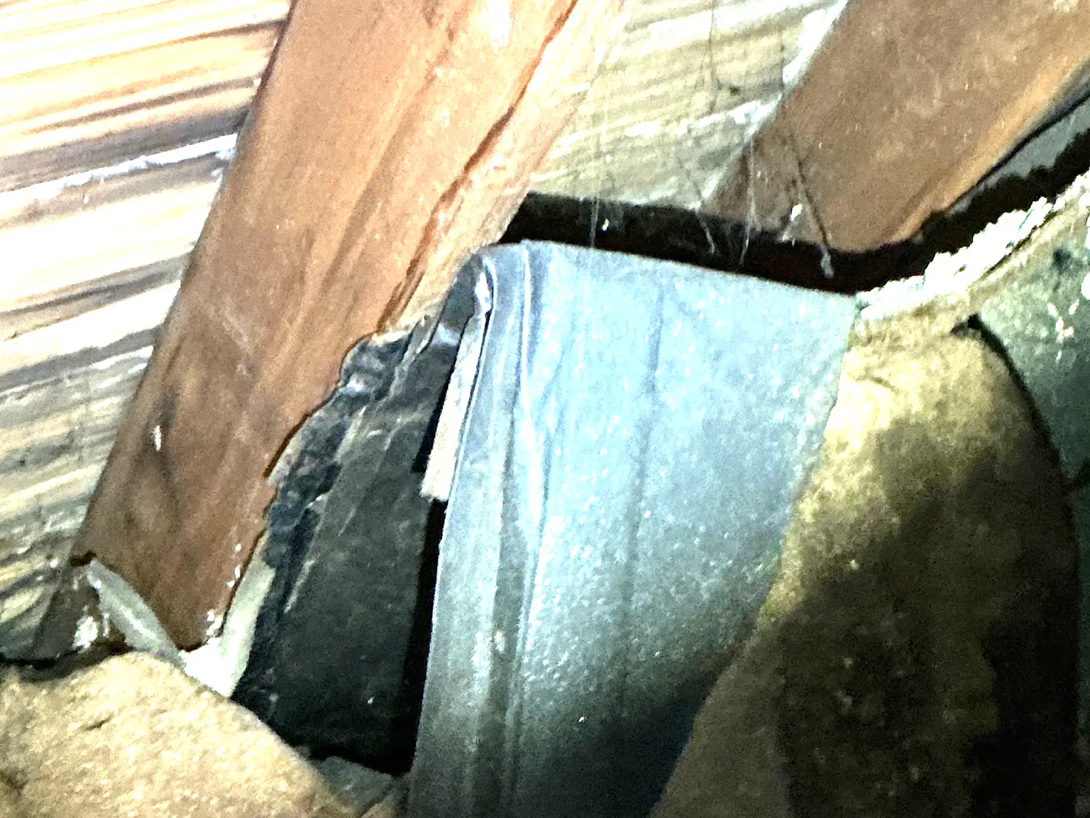 Our mold inspector found this surface mold in Struthers.