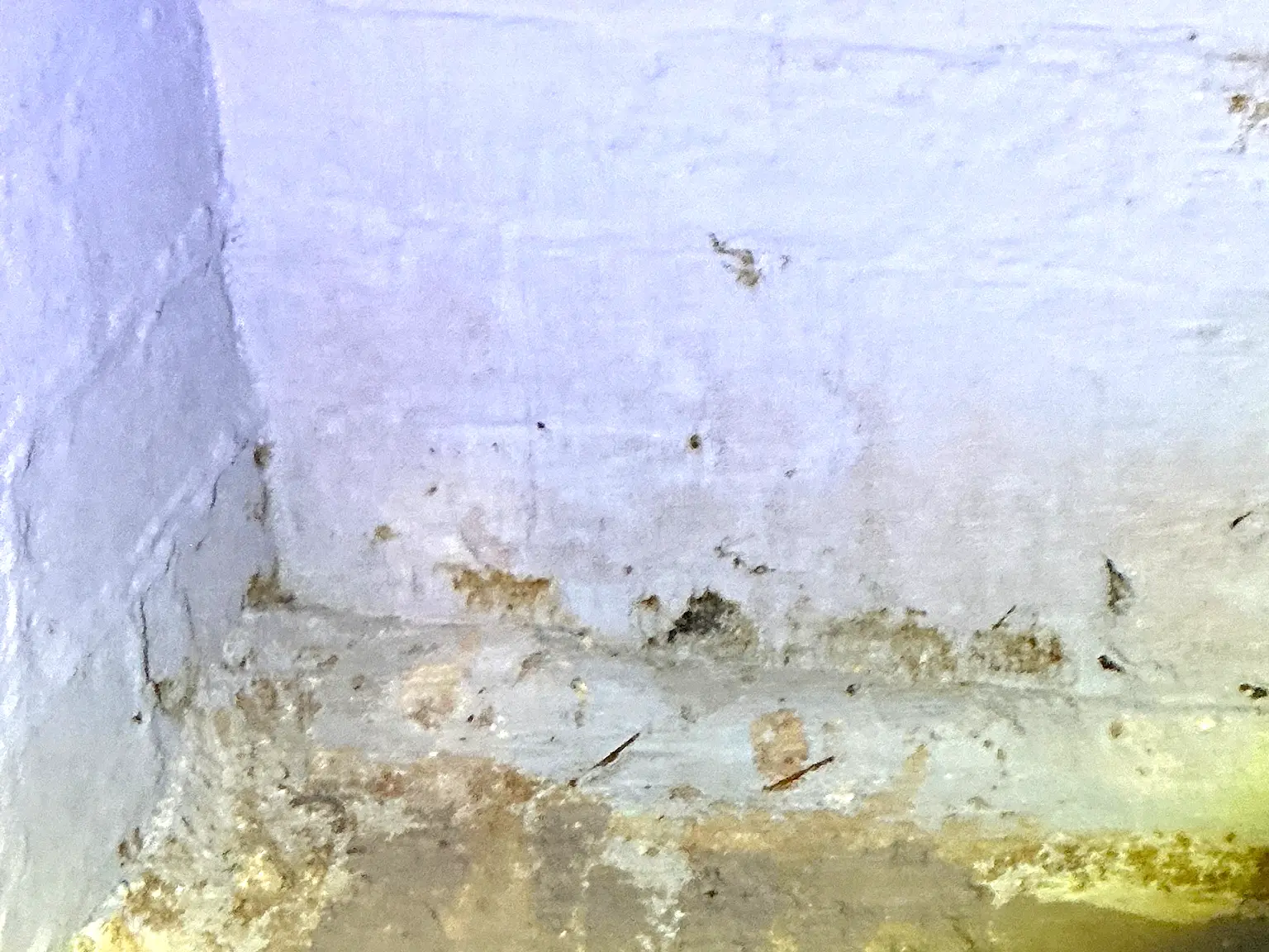 Mold found during a home inspection in Struthers.