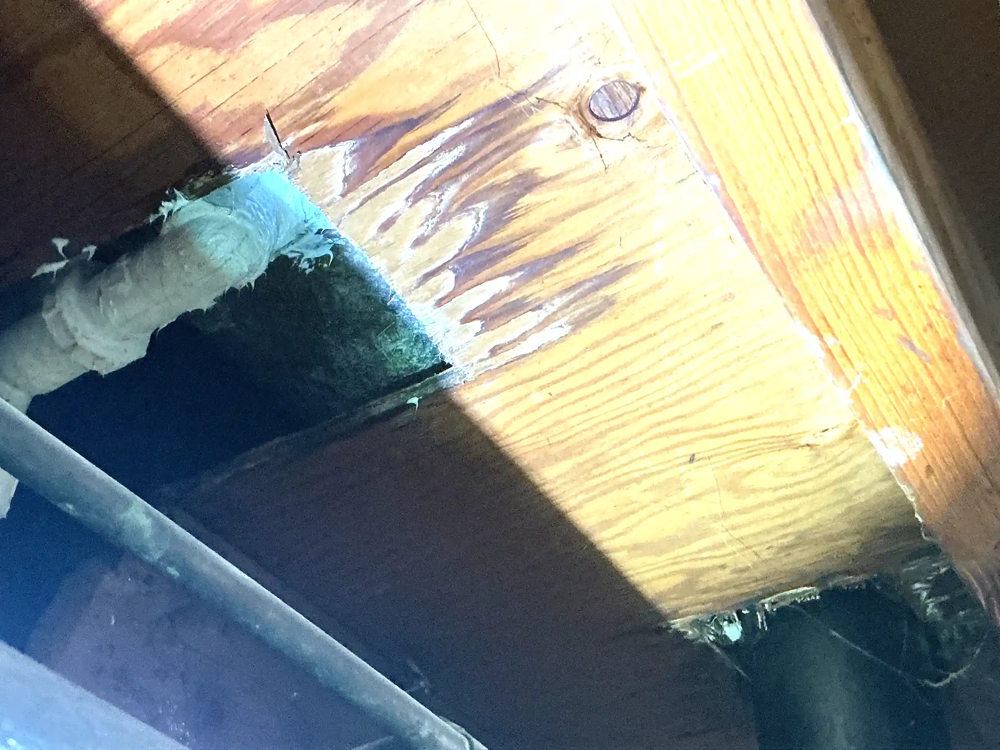 Look at what our mold inspector found in Tallmadge..