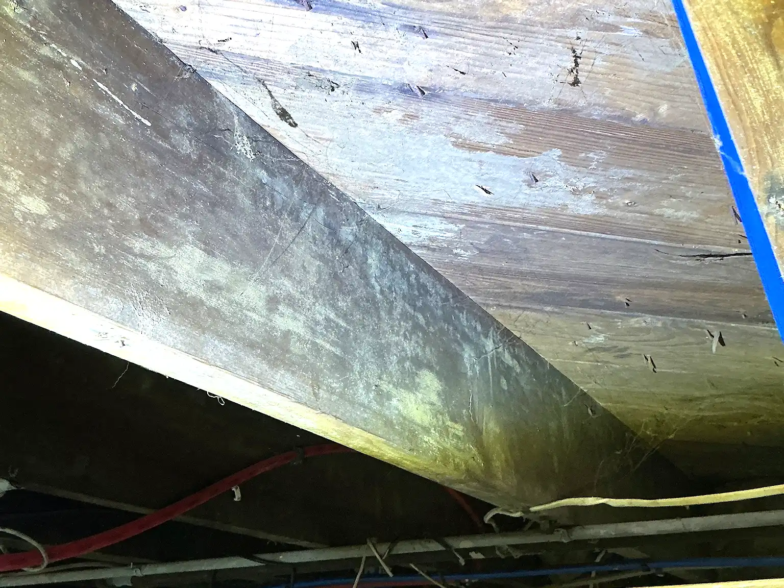 Mold found on a surface during an inspection in Tallmadge.