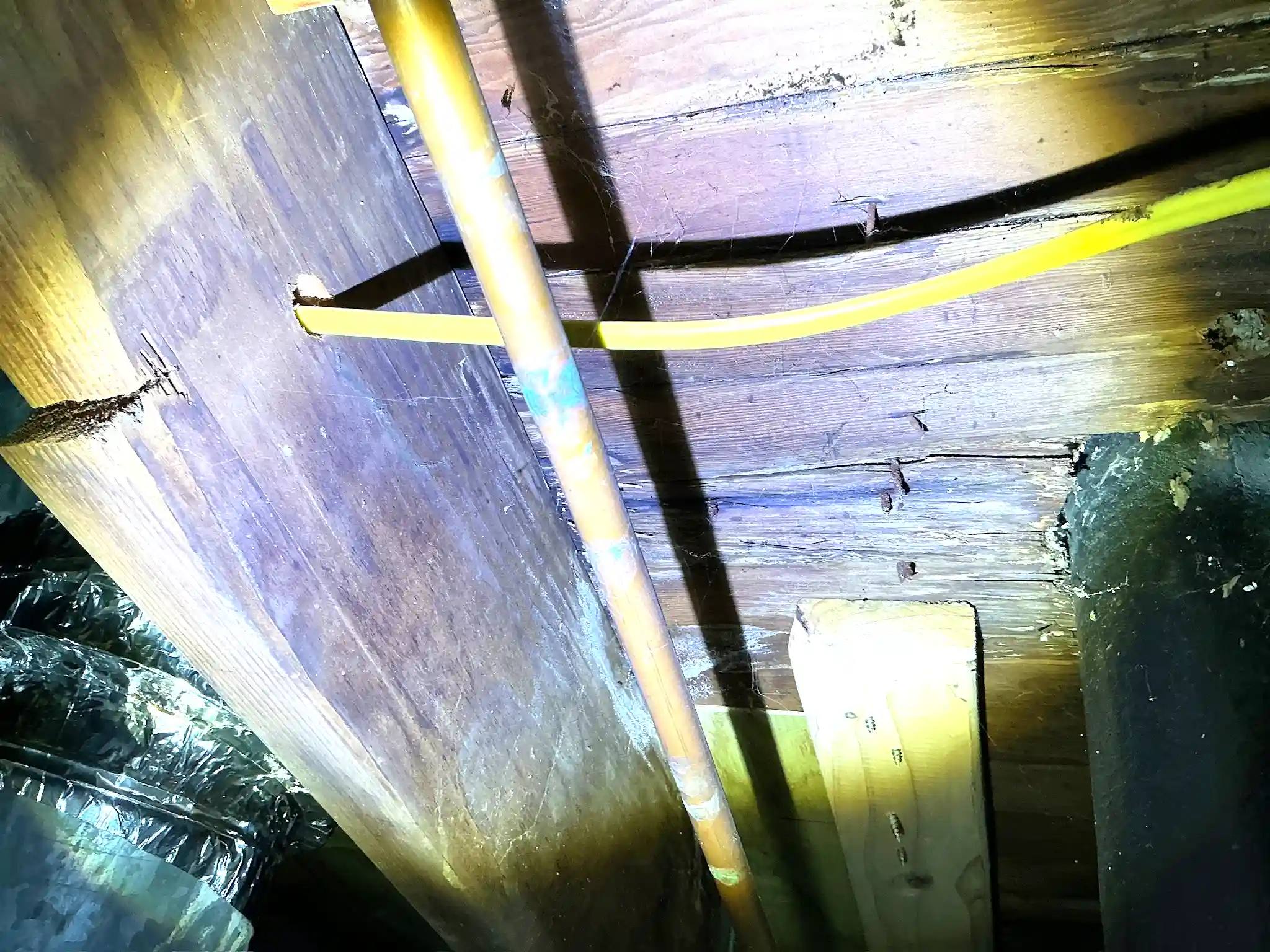 Mold found during a commercial mold inspection in Tallmadge.