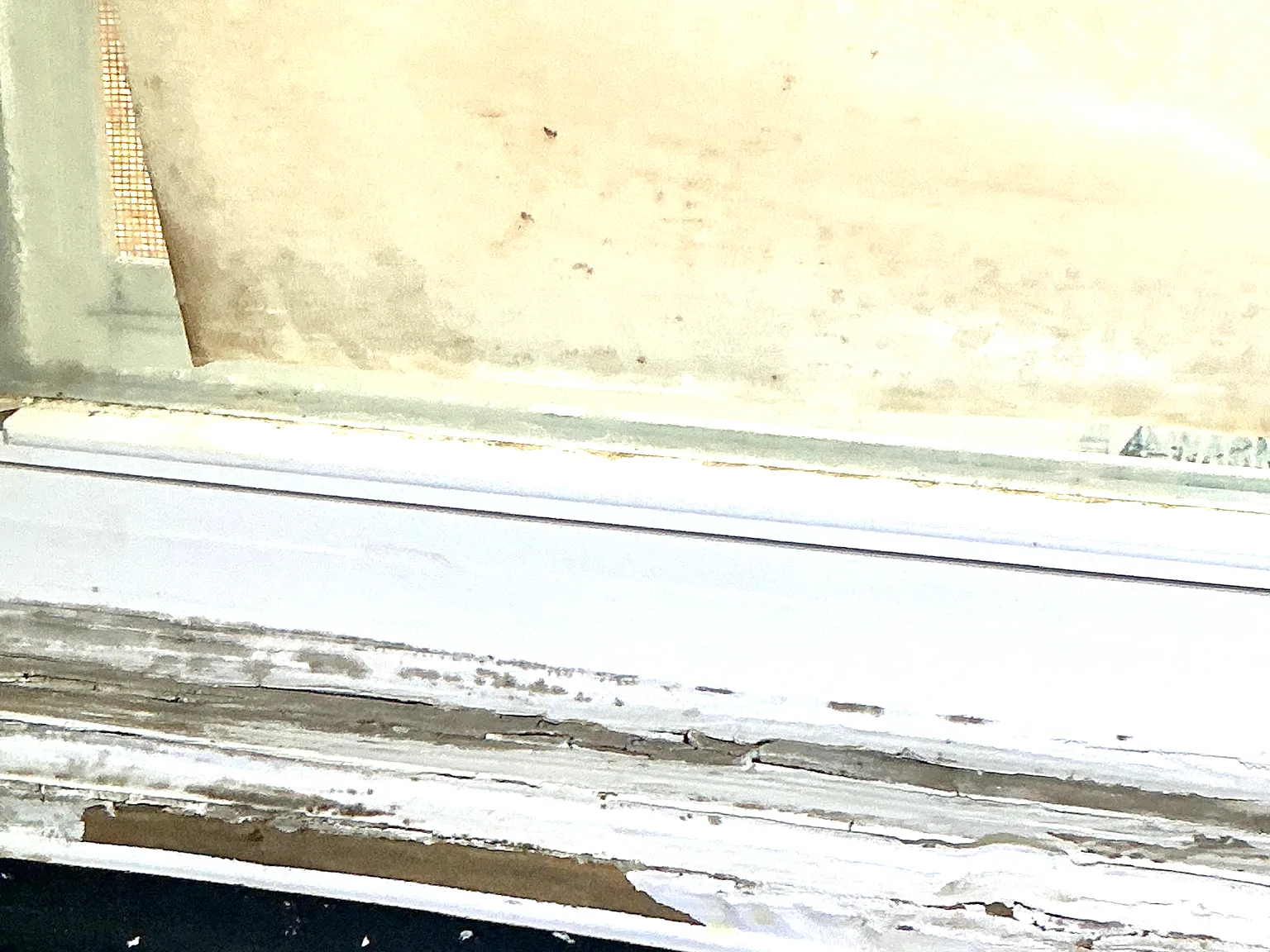Look at what our mold inspector found in Twin Lakes..