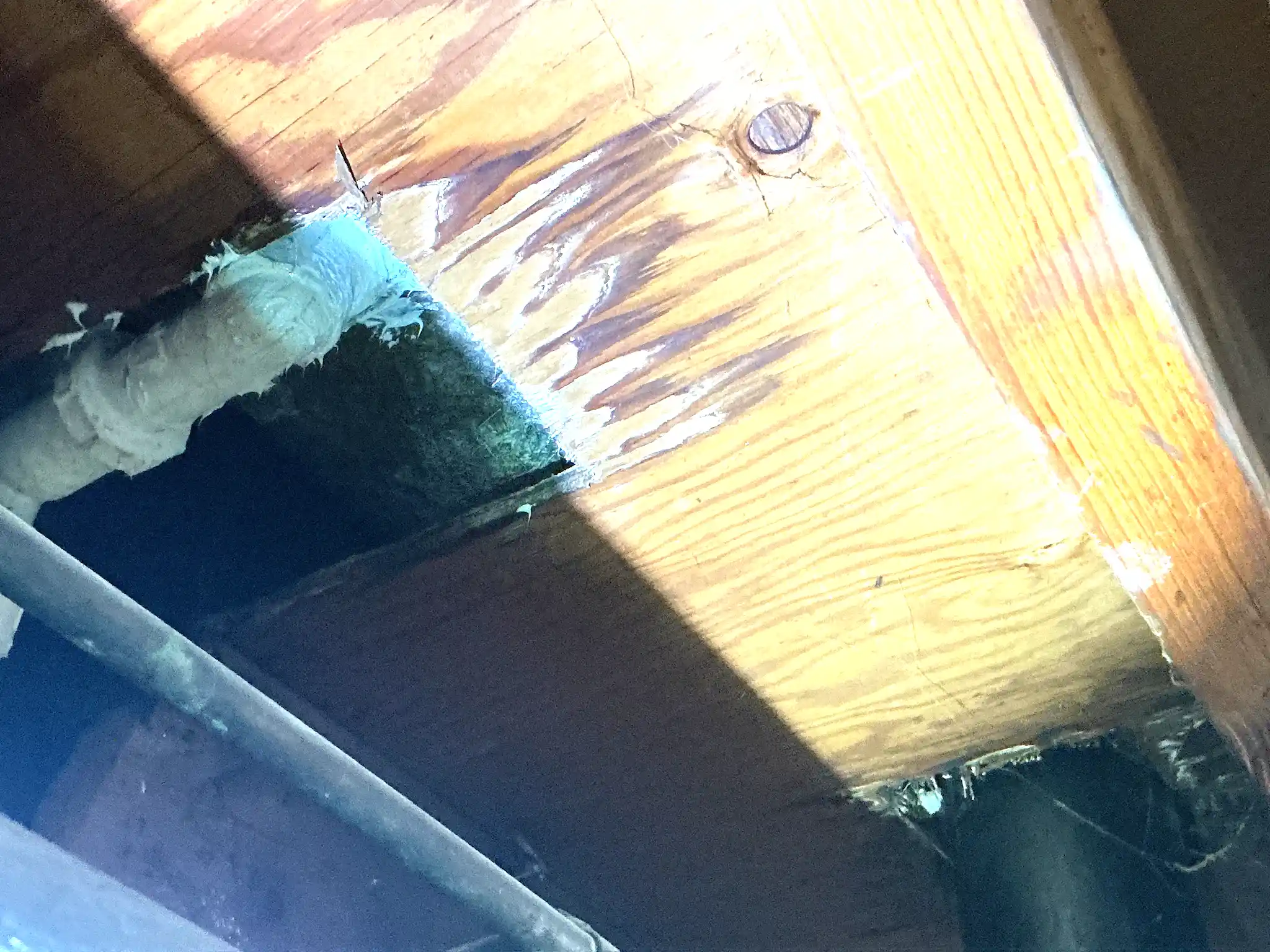 Mold found on a surface during an inspection in Twin Lakes.