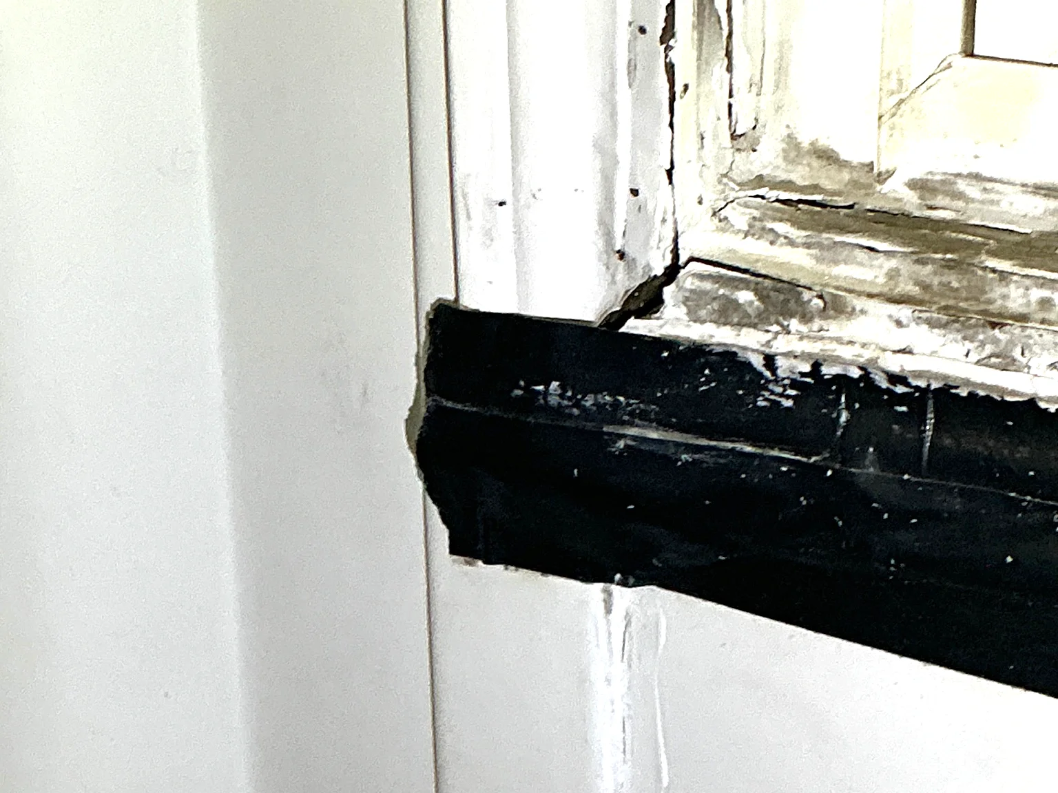 Mold inspection in Twin Lakes.