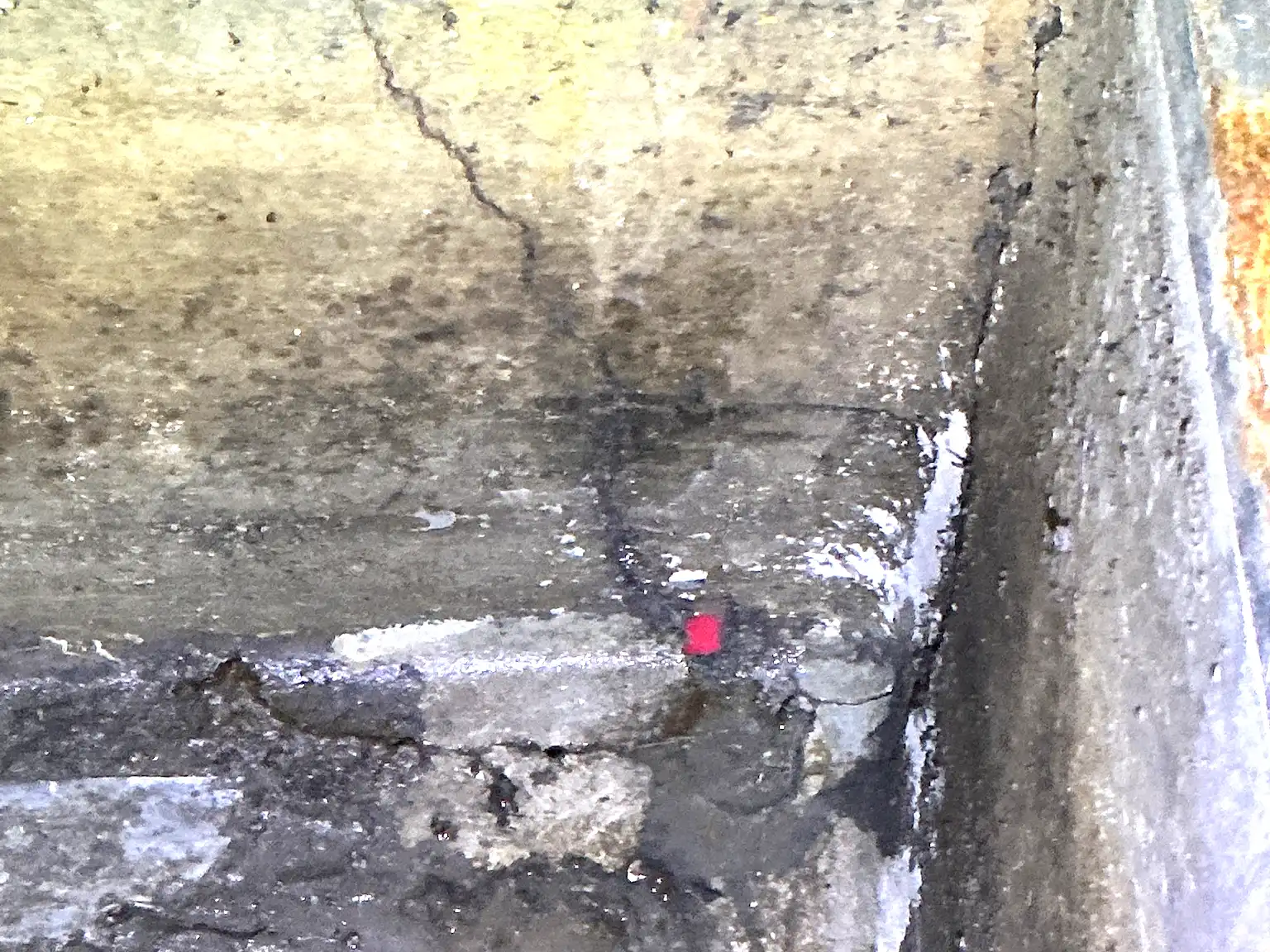 Our mold inspector found this surface mold in Twin Lakes.
