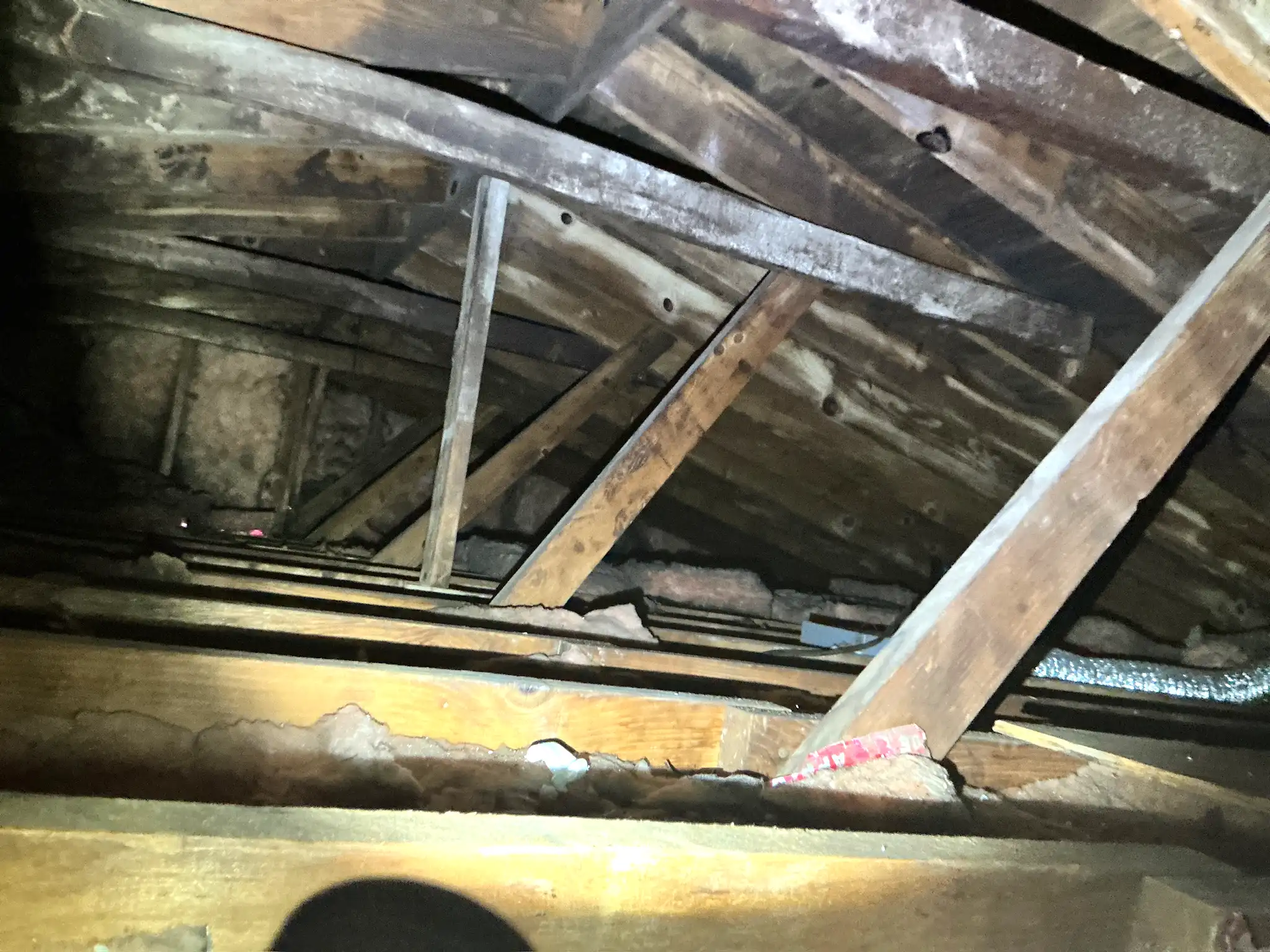Mold found during a commercial mold inspection in Twin Lakes.