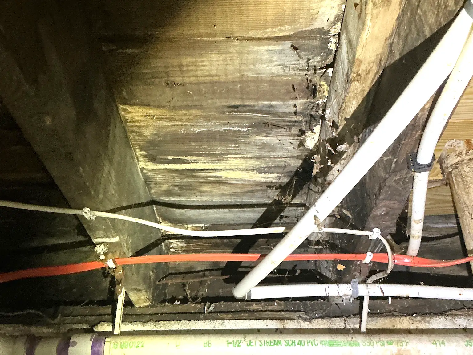 Look at what our mold inspector found in Twinsburg..