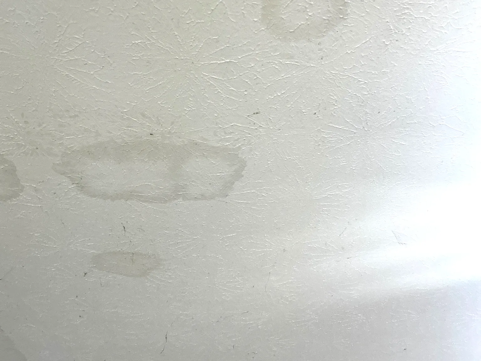 Mold inspection in Twinsburg.