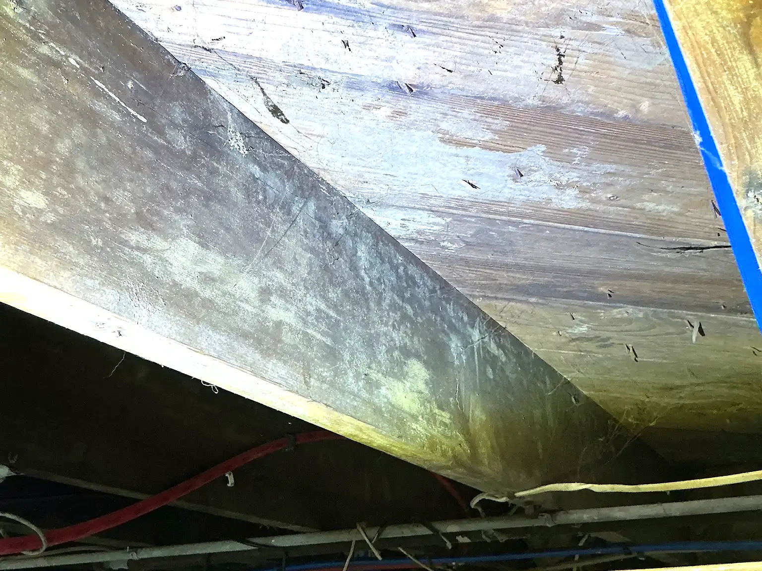 Mold inspection in Uniontown.