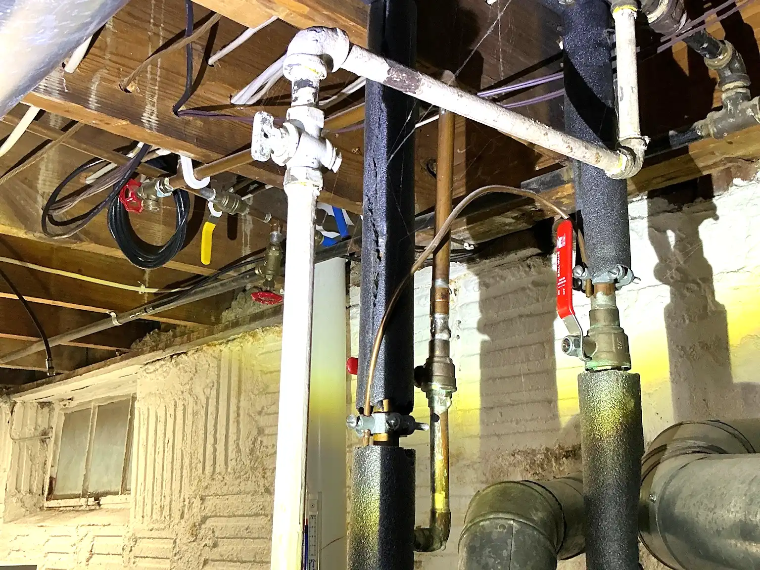 Our mold inspector found this surface mold in Uniontown.