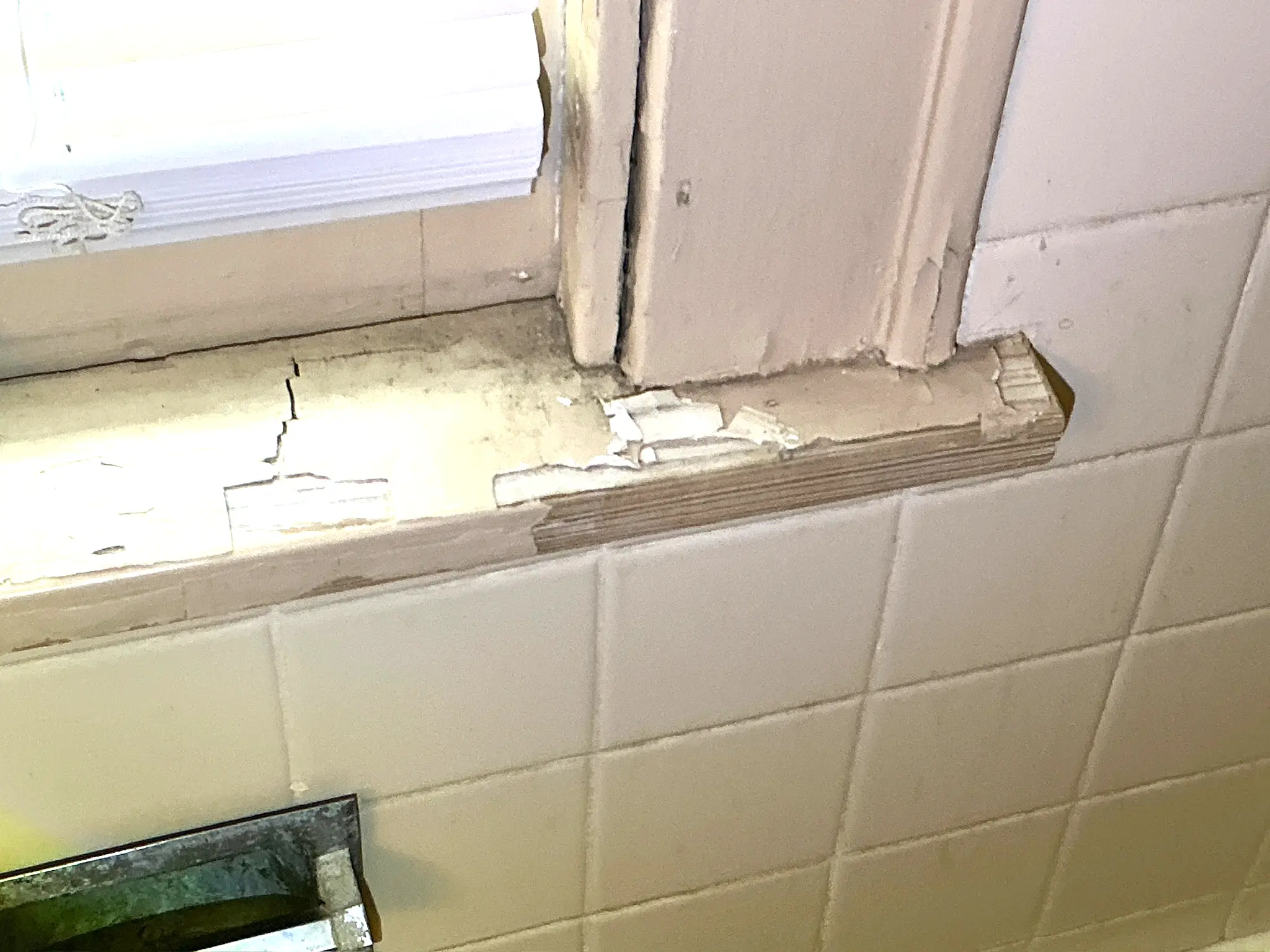 Mold found during a commercial mold inspection in Uniontown.