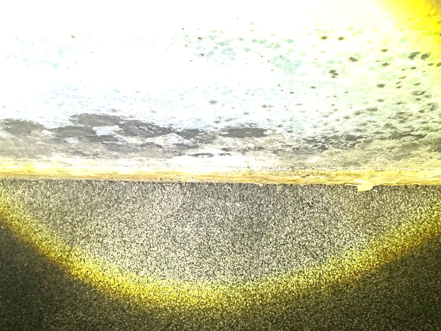 Mold found on a surface during an inspection in University Heights.