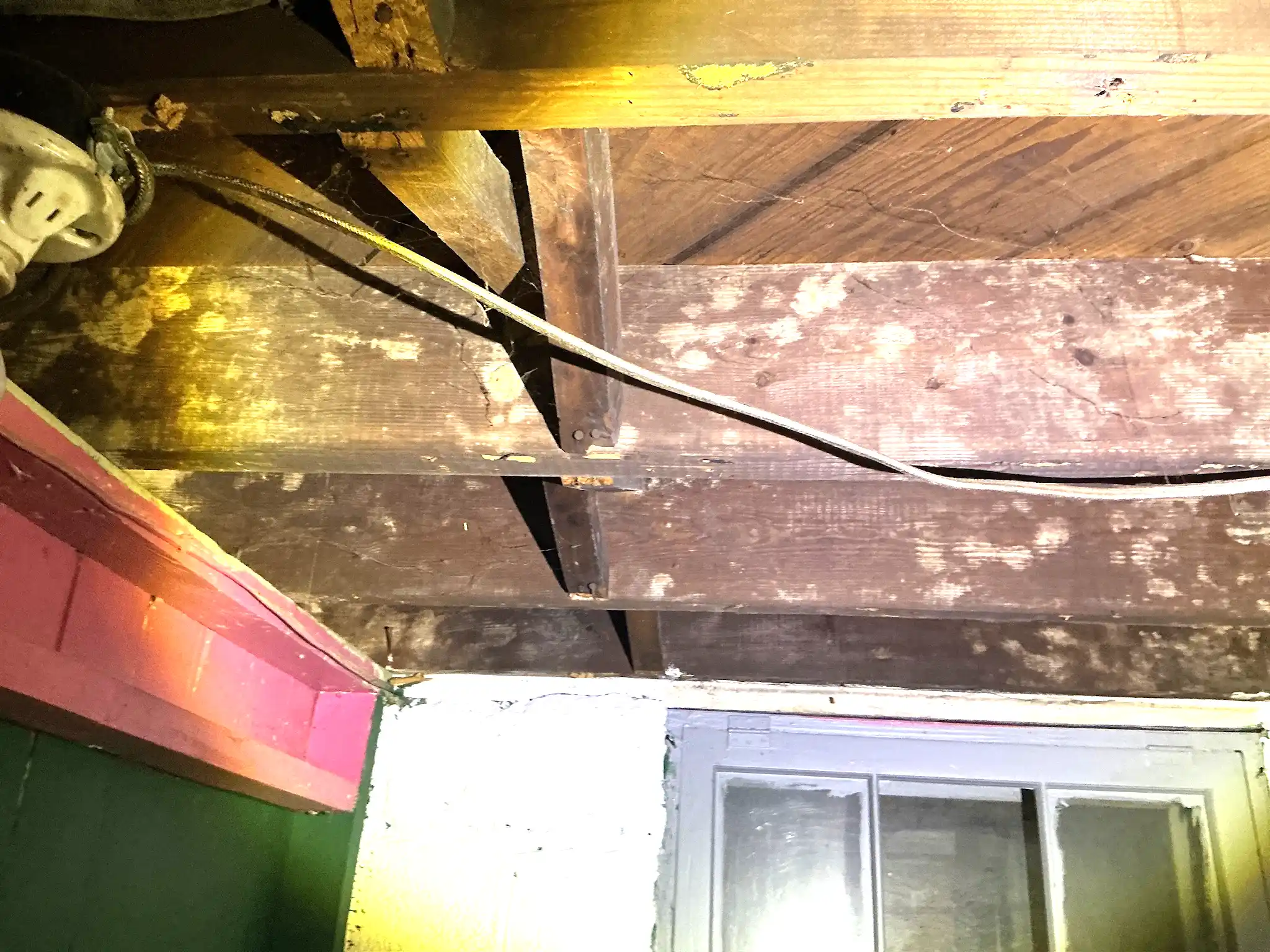 Mold inspection in University Heights.