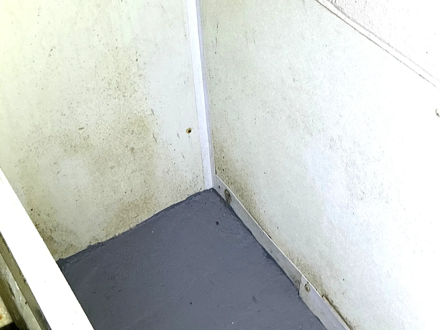Mold found during a home inspection in University Heights.