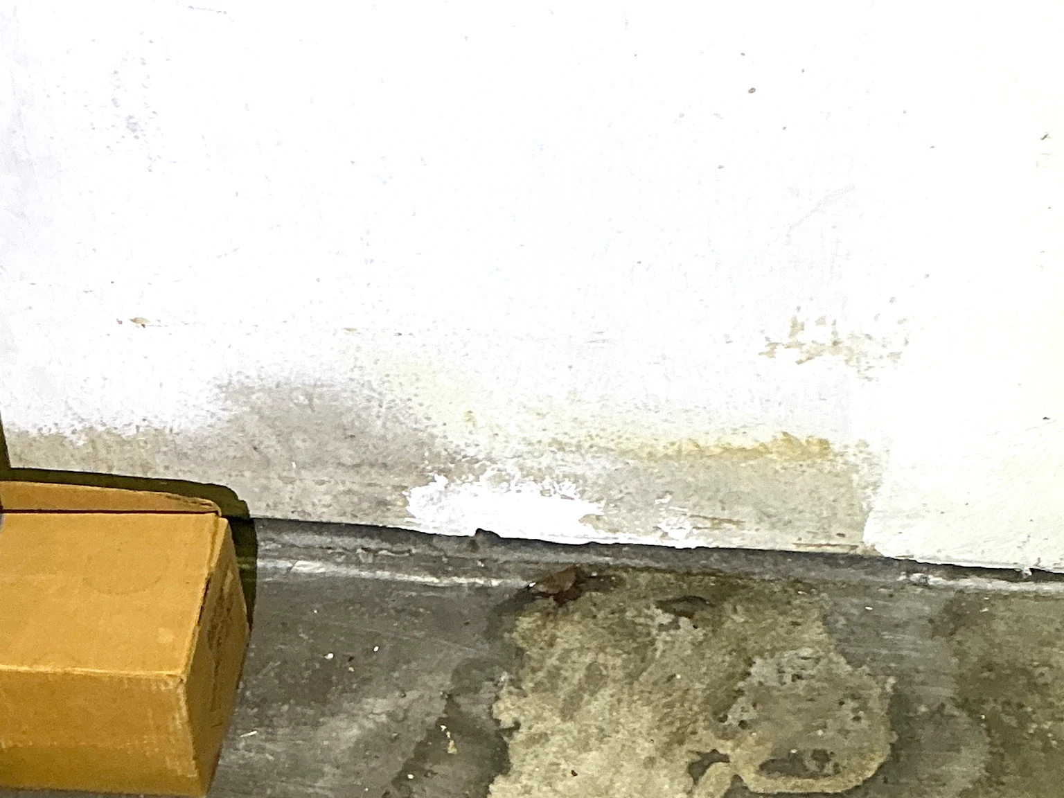 Mold found on a surface during an inspection in Valley View.