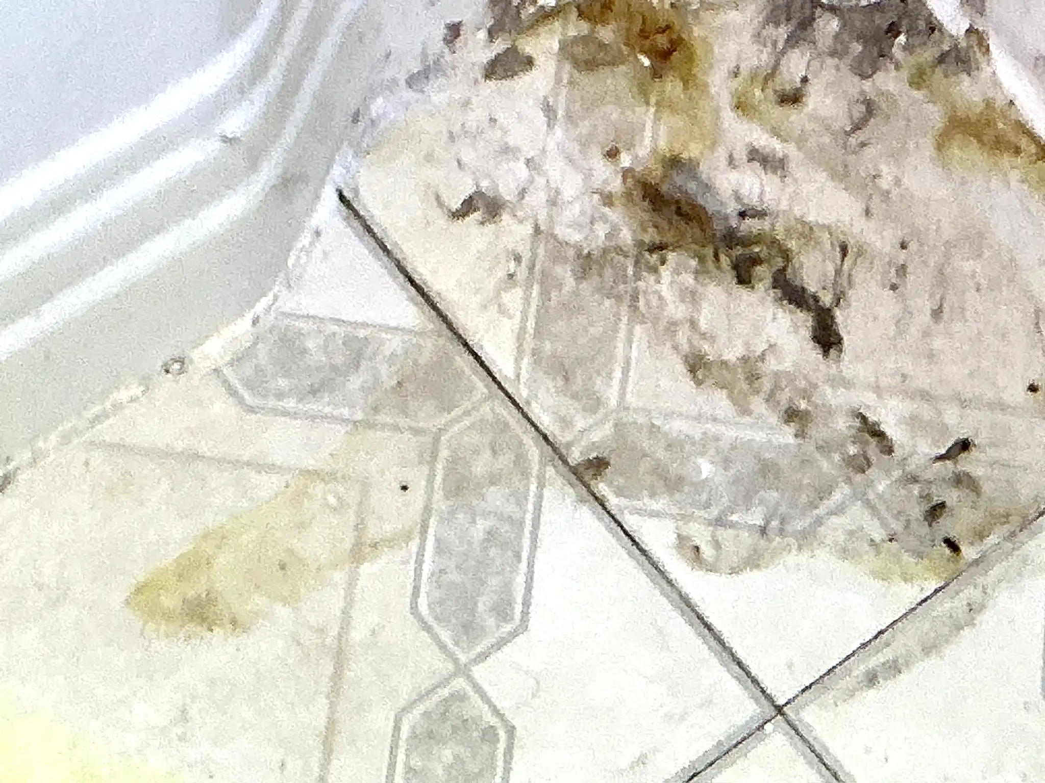 Our mold inspector found this surface mold in Valley View.