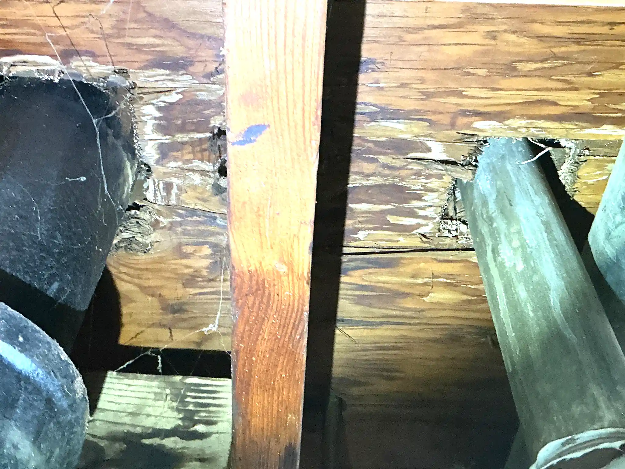 Mold found during a home inspection in Valley View.