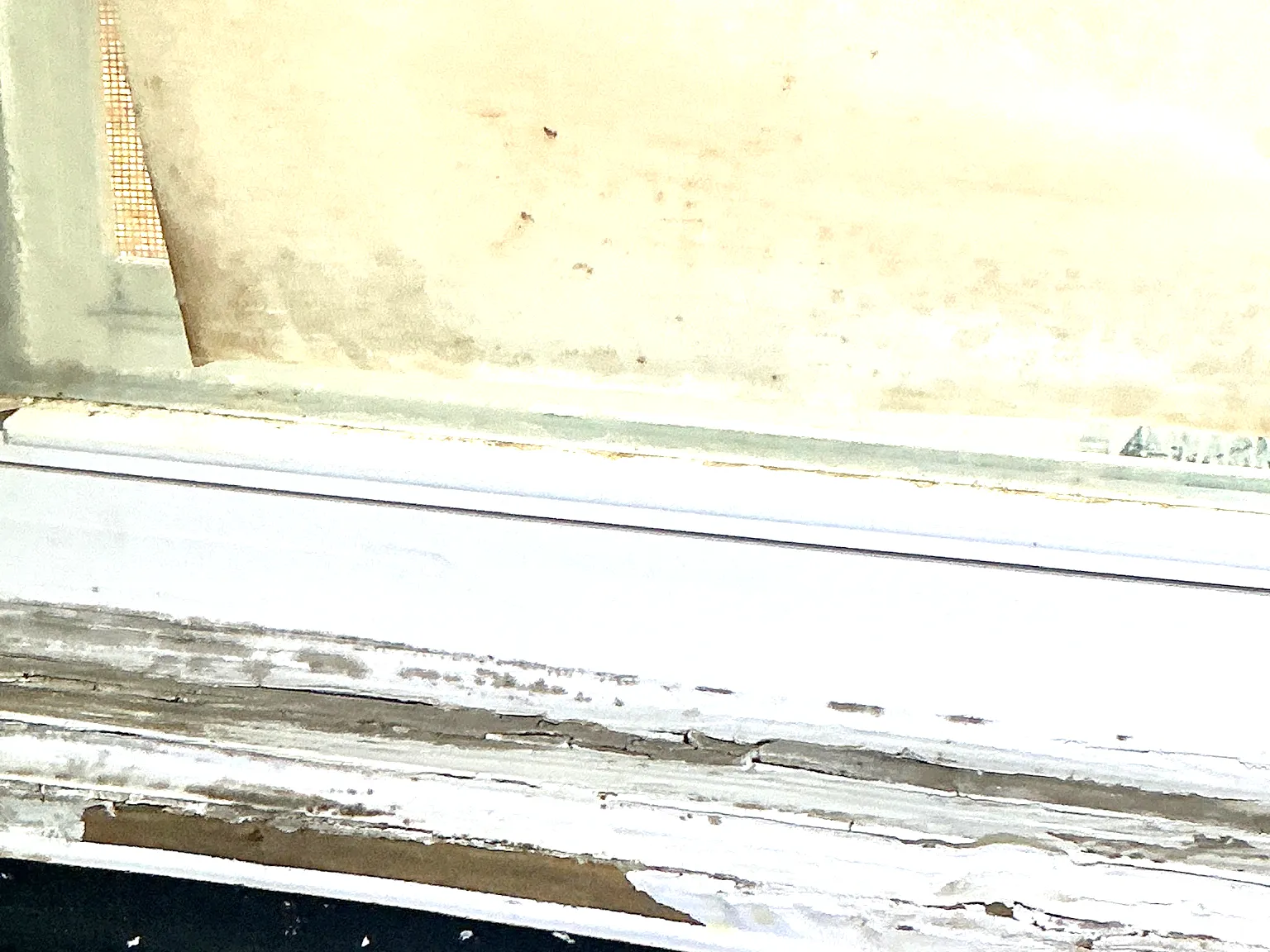 Mold found during a commercial mold inspection in Valley View.