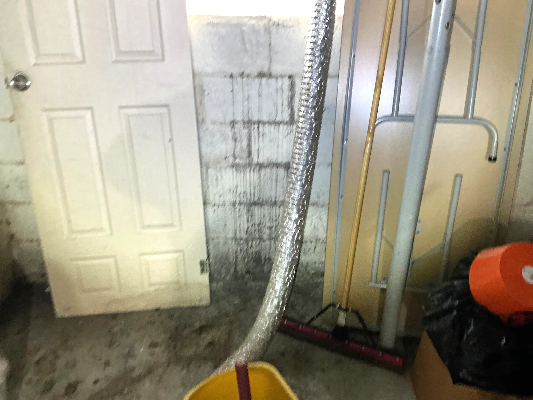 Look at what our mold inspector found in Wadsworth..