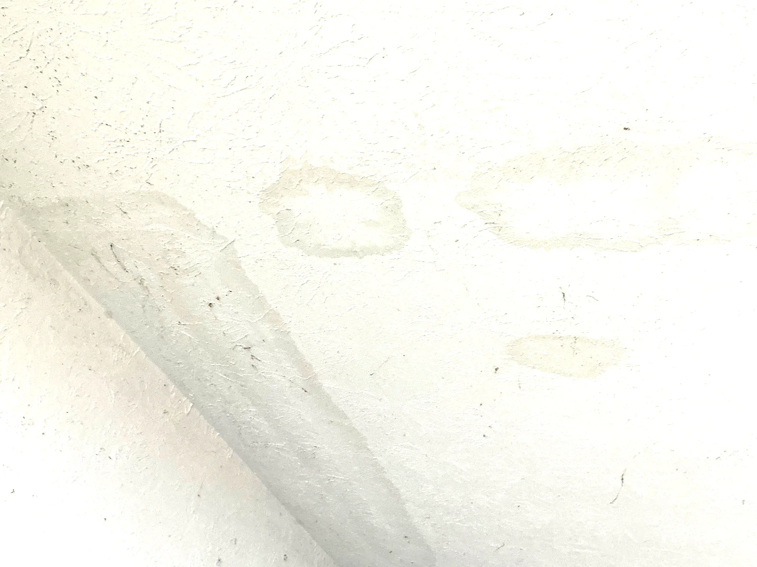 Mold found on a surface during an inspection in Wadsworth.