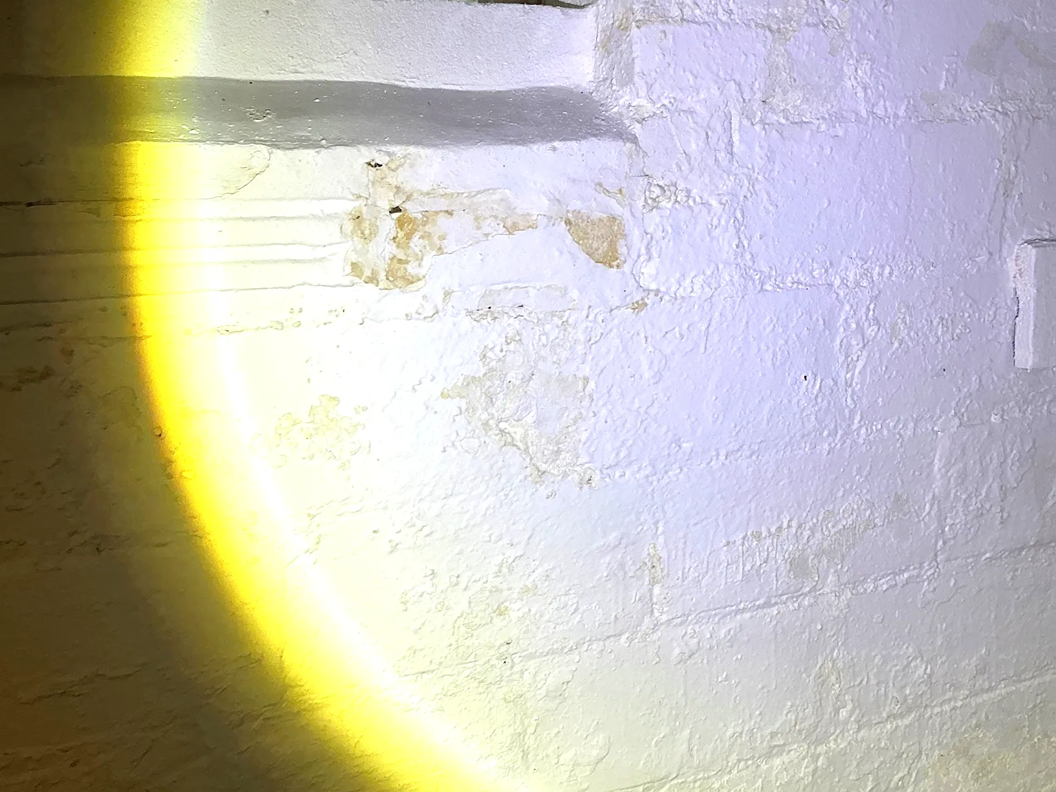 Mold inspection in Wadsworth.
