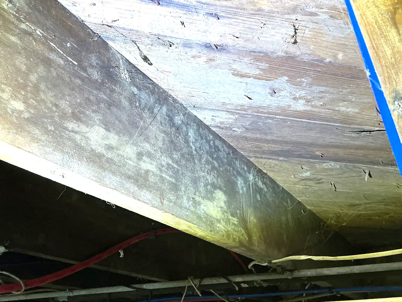 Mold found during a home inspection in Wadsworth.