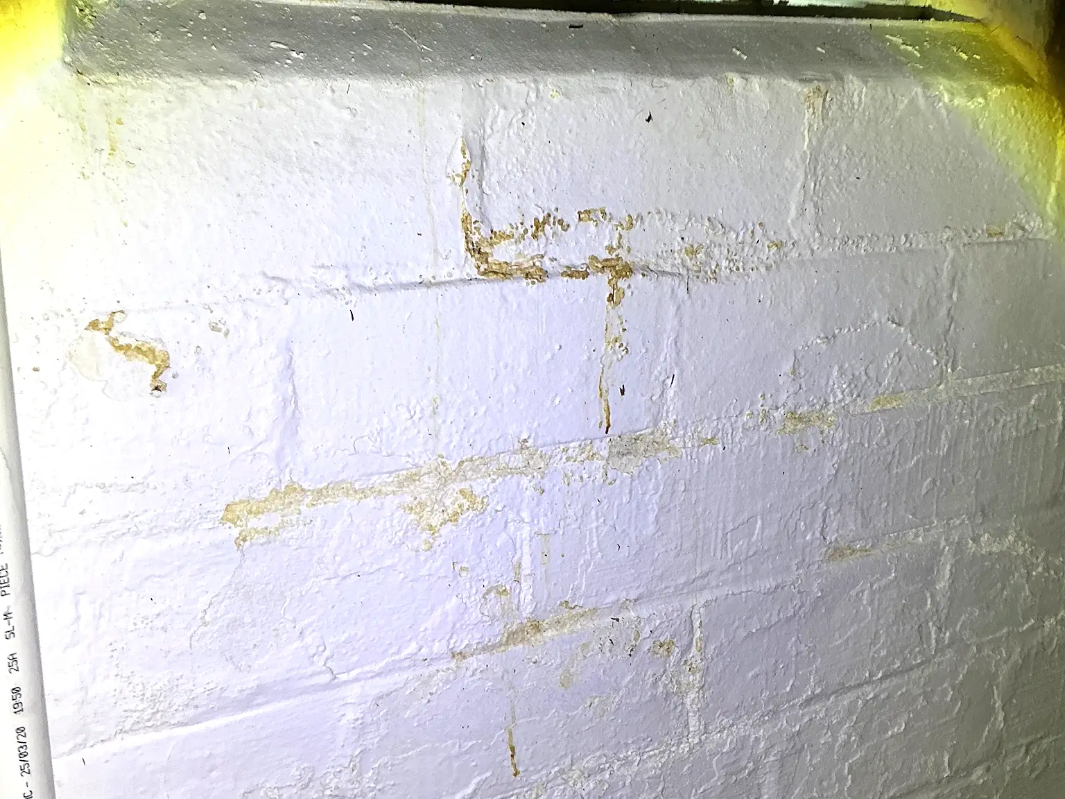 Mold found during a commercial mold inspection in Wadsworth.