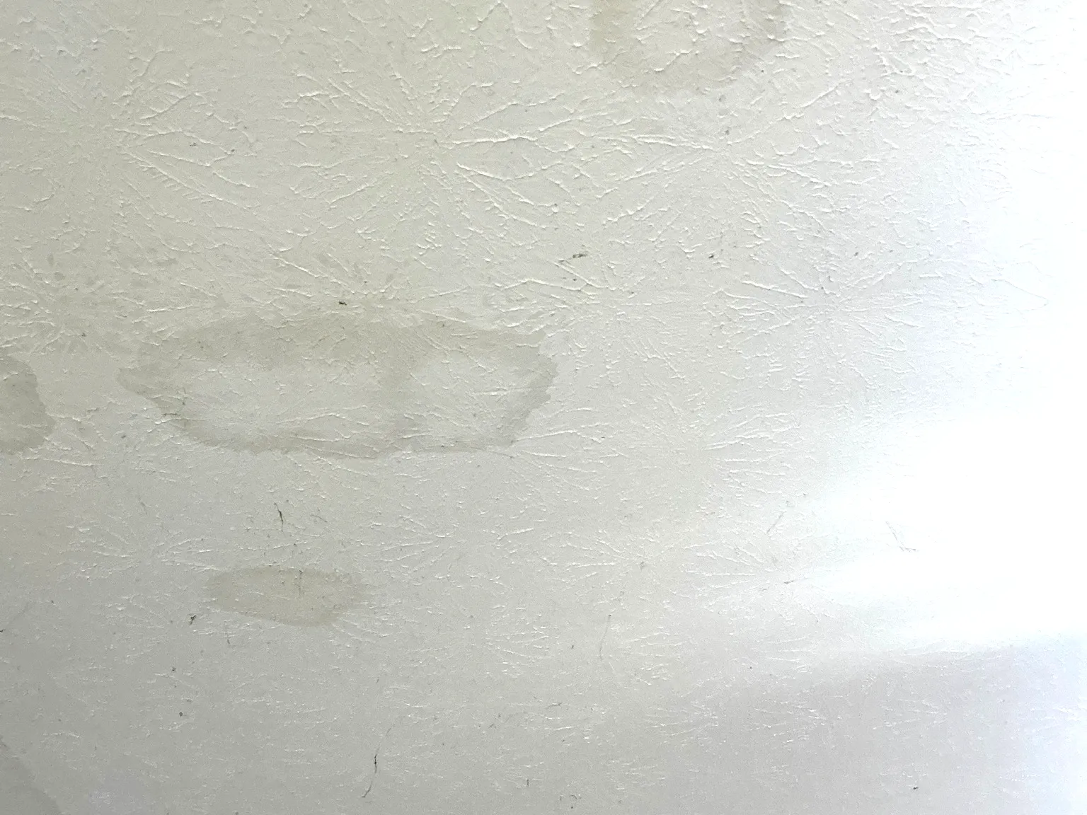 Look at what our mold inspector found in Walton Hills..