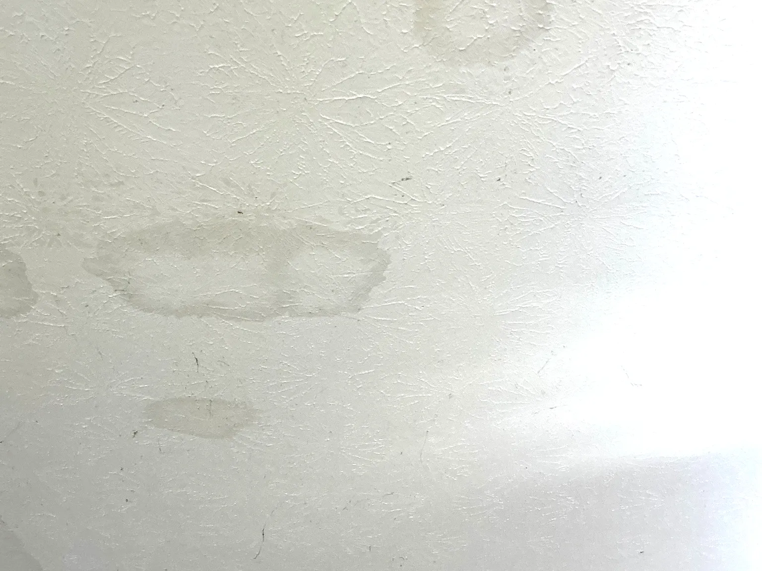 Mold found on a surface during an inspection in Walton Hills.