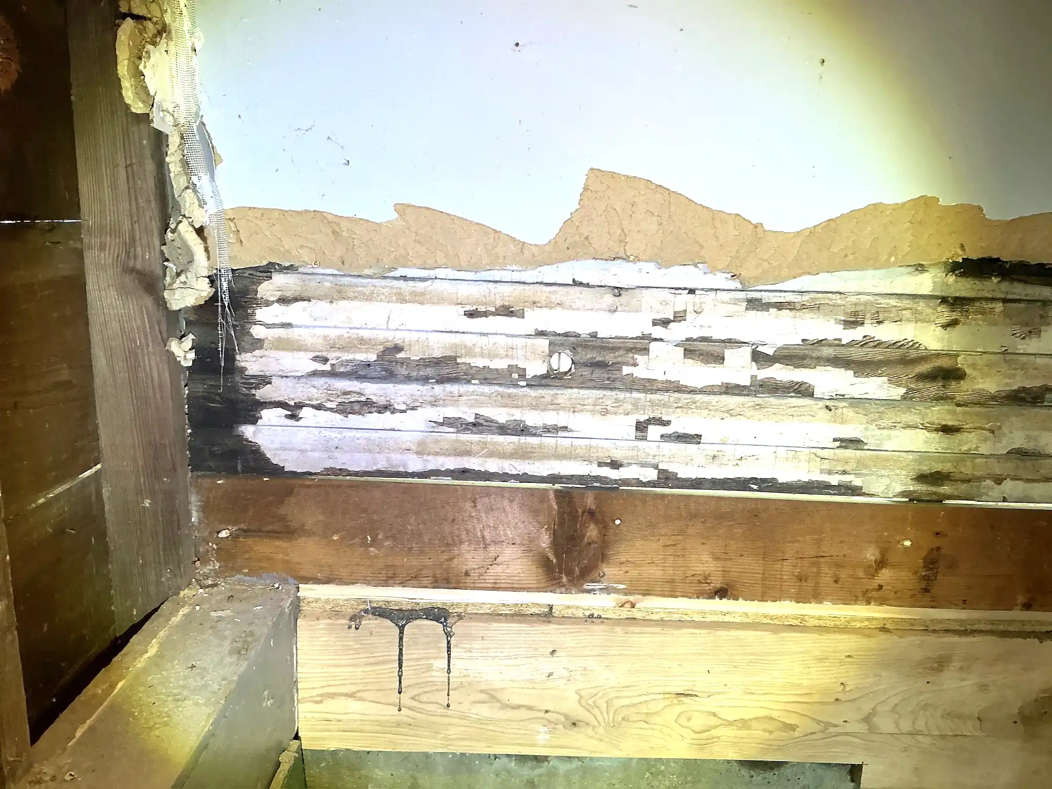 Mold inspection in Walton Hills.