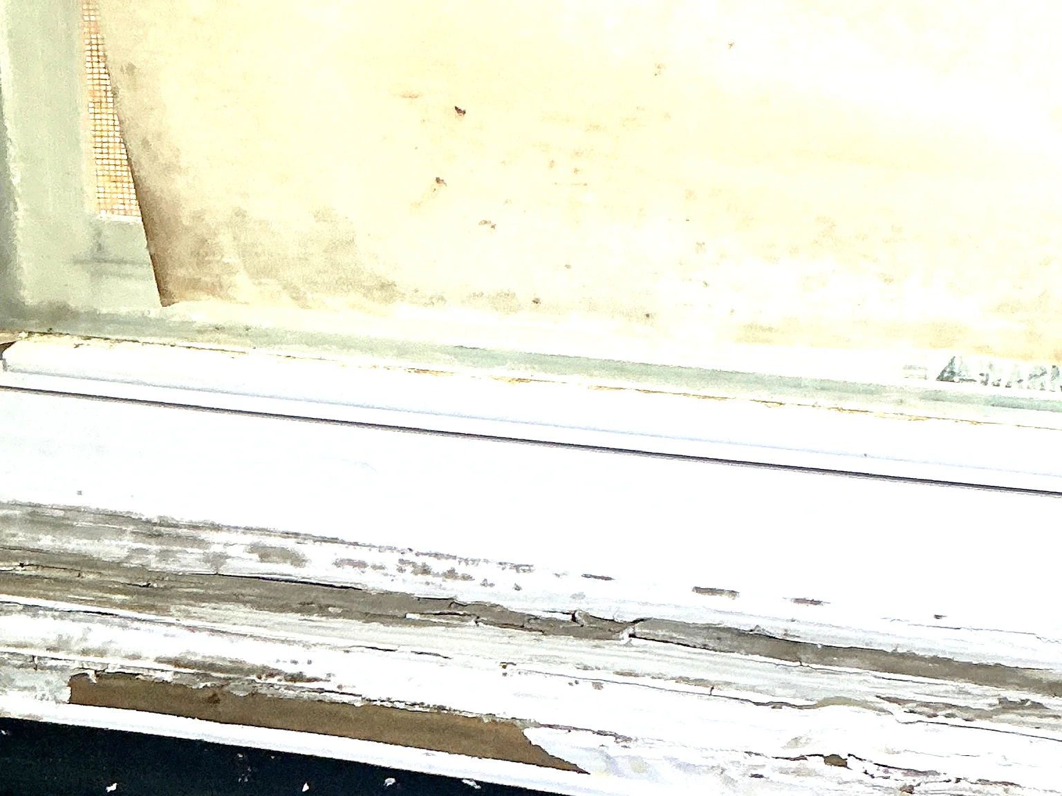 Our mold inspector found this surface mold in Walton Hills.