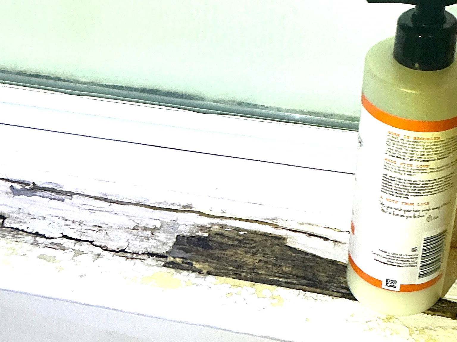 Mold found during a commercial mold inspection in Walton Hills.