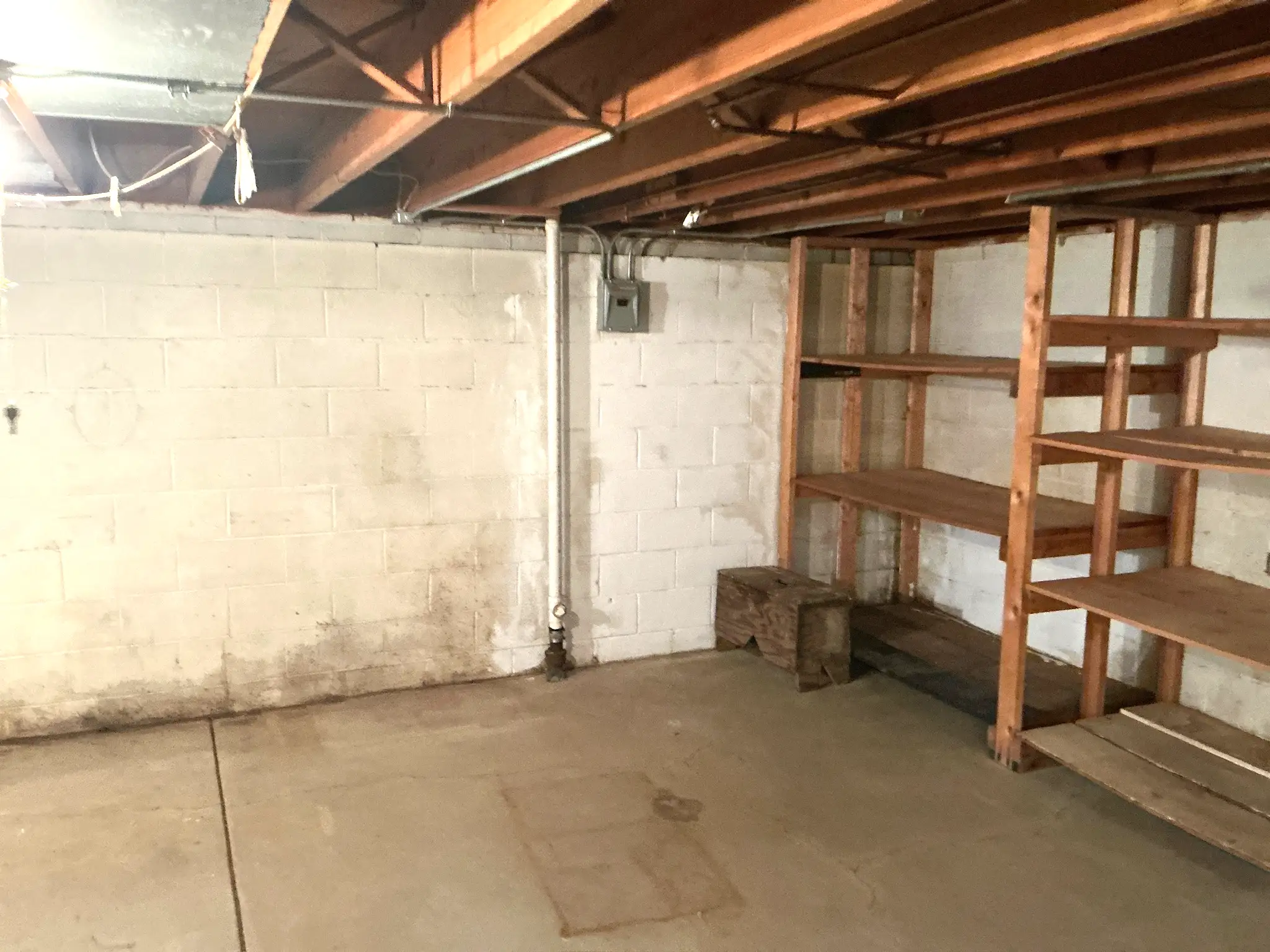 Look at what our mold inspector found in Warren..