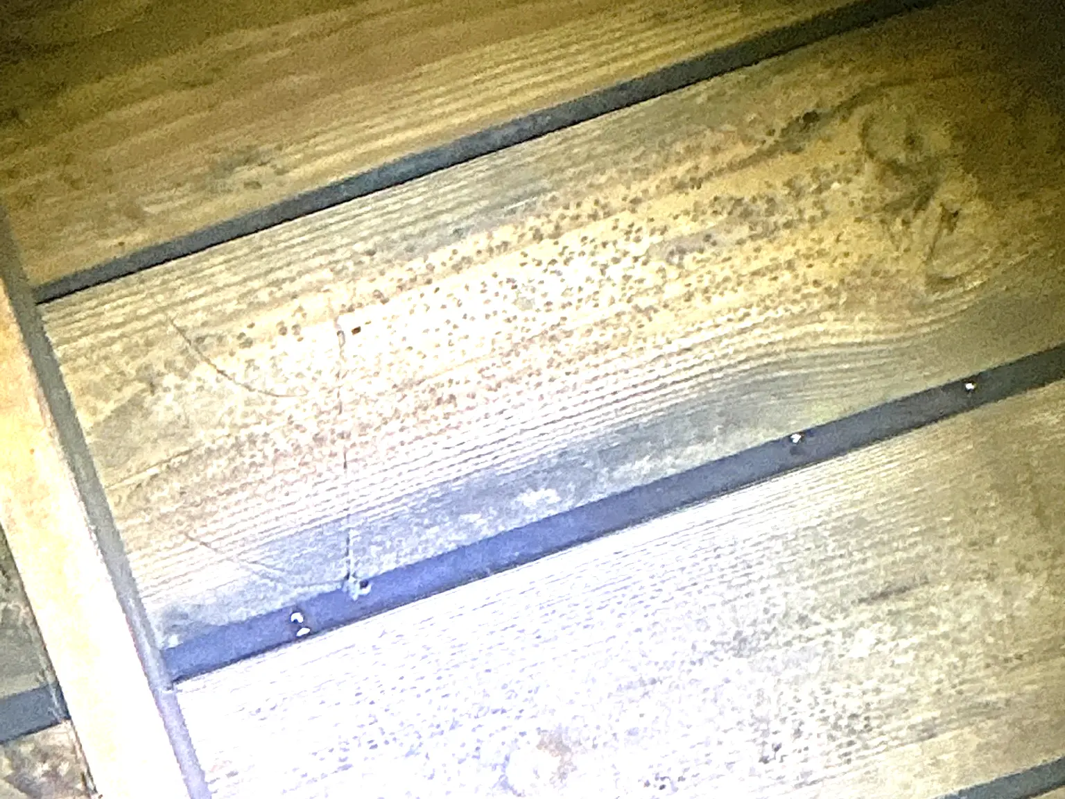 Mold found on a surface during an inspection in Warren.