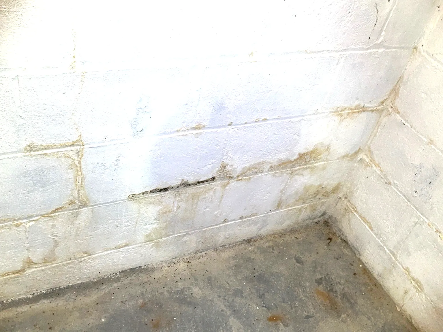 Mold inspection in Warren.